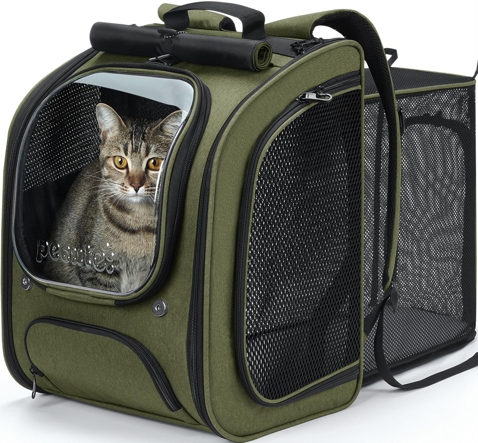 Pecute Scalabile Zaino Trasportino per Gatti a Bolla - Ampio spazio stabile, parasole traspirante, ideale per viaggiare, fare visitare cliniche veterinarie con il tuo animale domestico, Verde