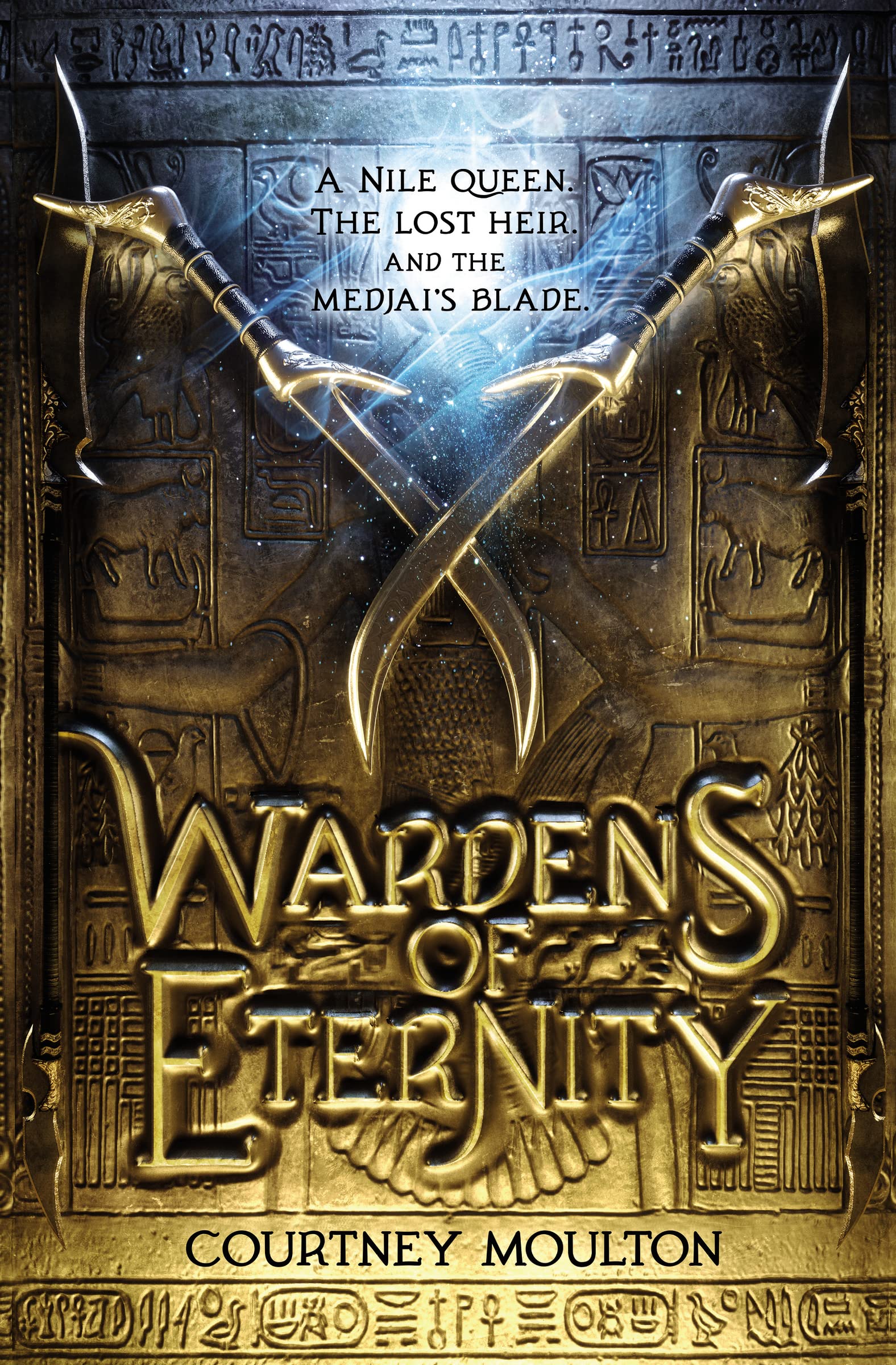 Buy Wardens of Eternity (Blink) — BookShops.in