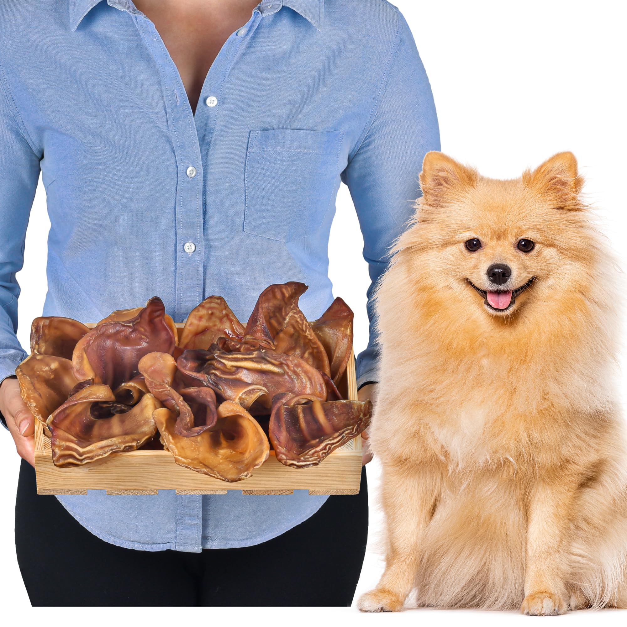 Pig Ears for Dogs 20 pcs Size S (500g), 20 count (Pack of 1)