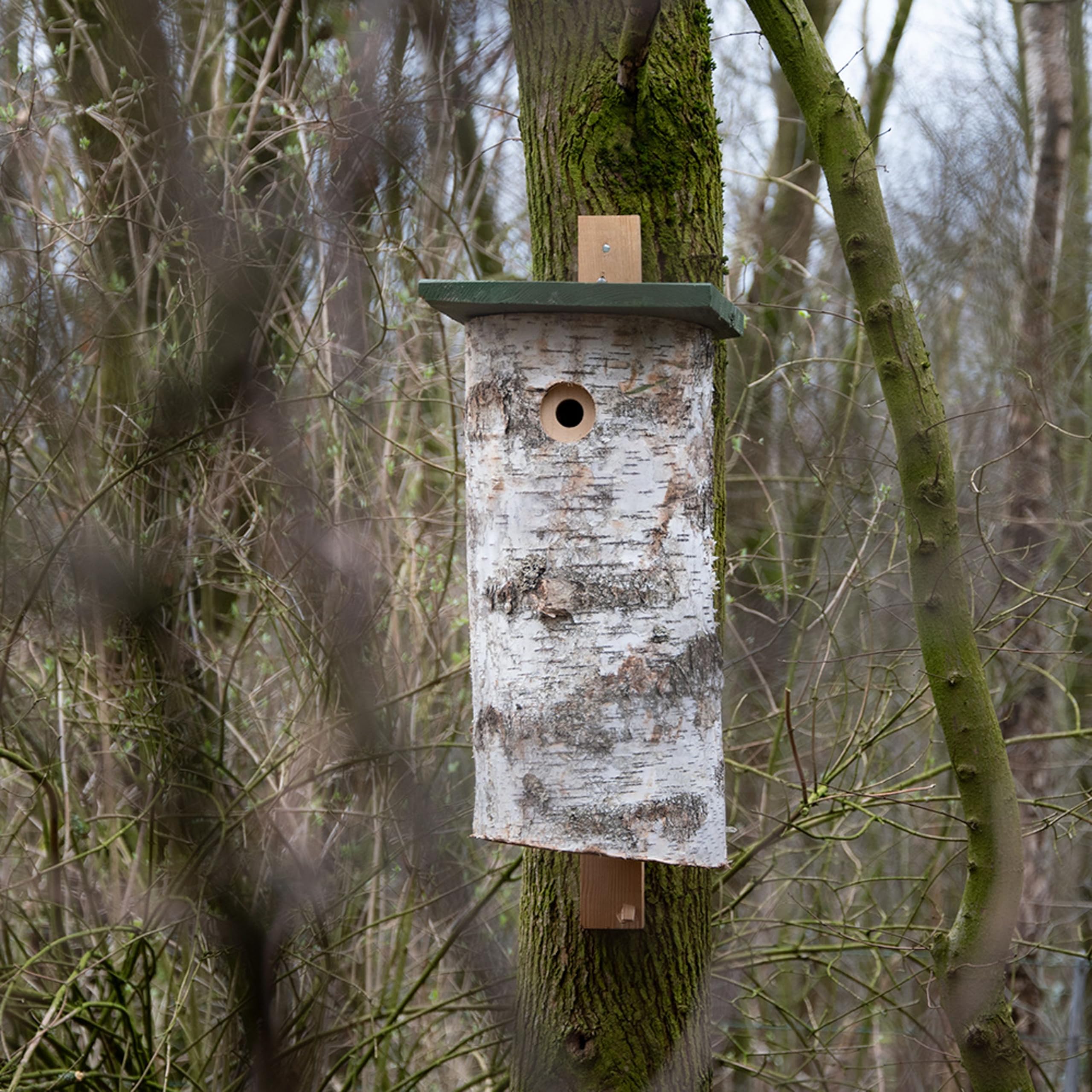 CJ Wildlife Woodpecker Bird Box for Gardens – Bird Nesting Box – Birch Log Nest Box – Woodpecker Friendly – FSC® 100% Wood – Suitable for Garden Birds