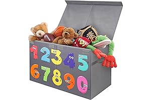 Sturdy Toy Chest: The Perfect Storage Solution for Your Little One's Playroom