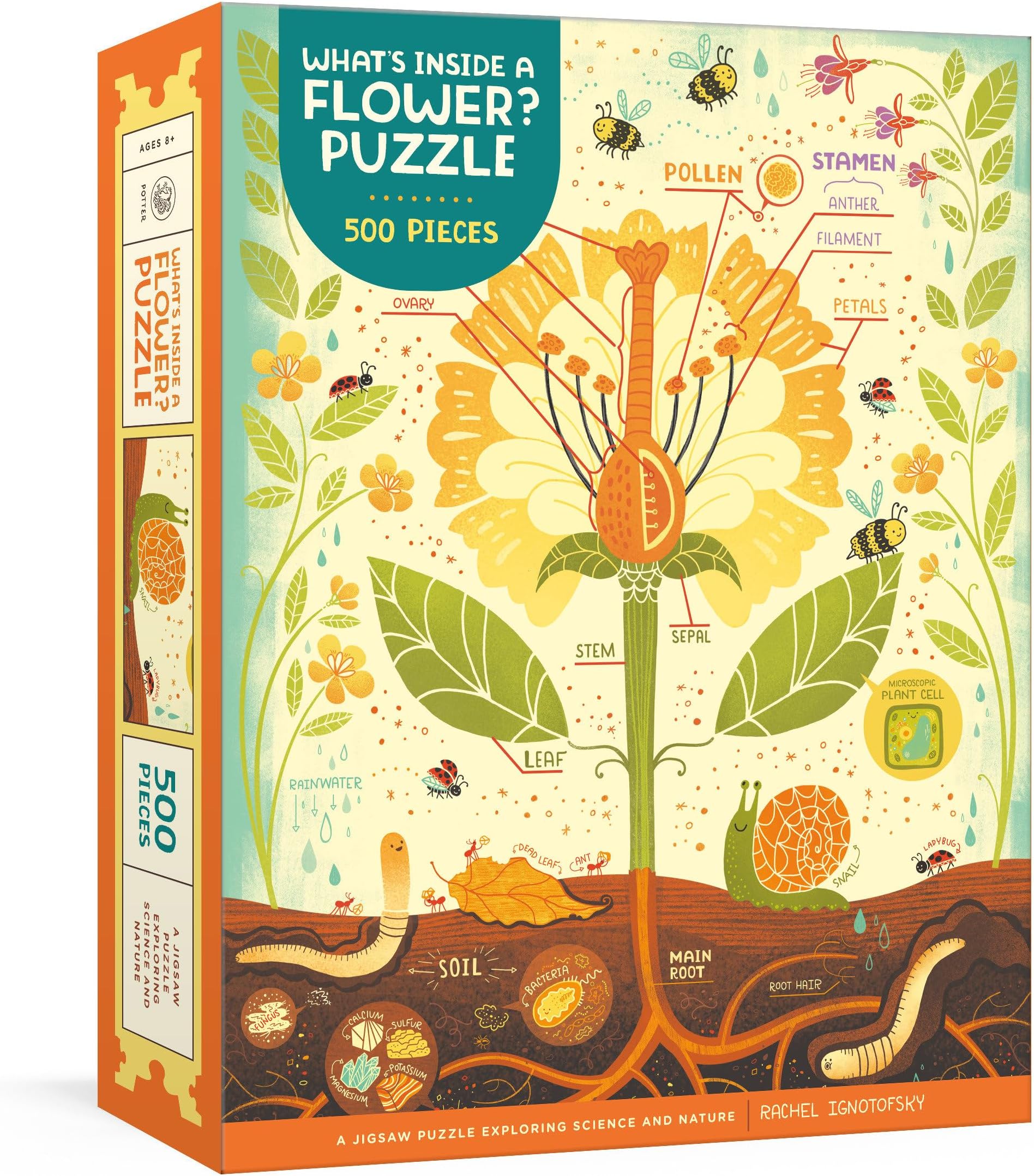 What's Inside a Flower? Puzzle: Exploring Science and Nature 500-piece Jigsaw Puzzle Jigsaw Puzzles for Adults and Jigsaw Puzzles for Kids