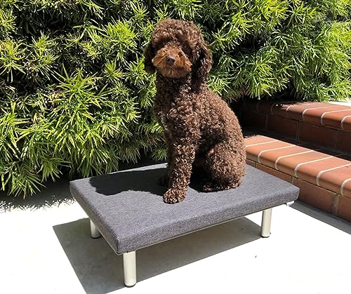 Miniatura 4 de Foreman Cama elevada para perro impermeable para interiores y exteriores con un cojín lavable resistente a los rayos UV, color gris XS