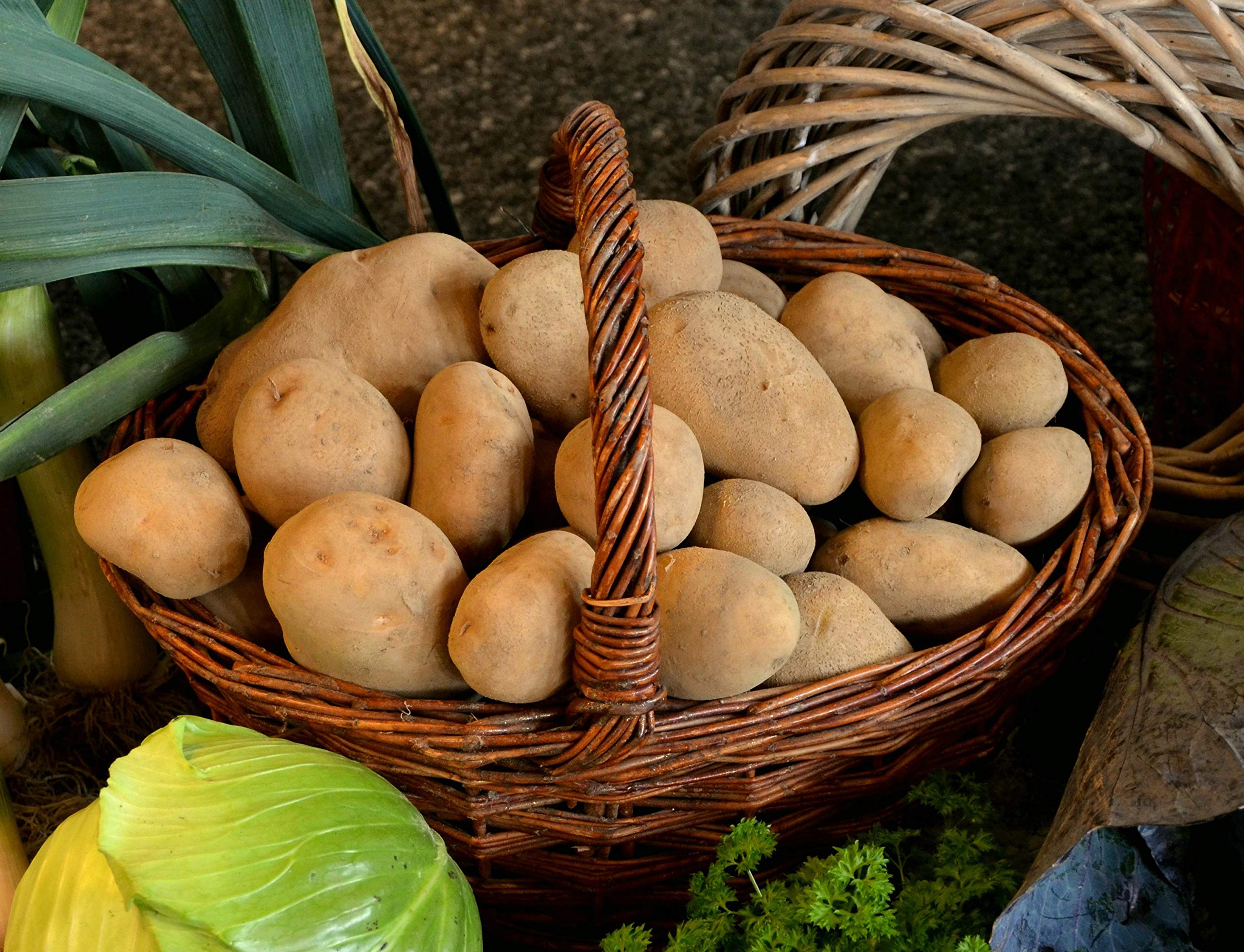 BLEICHHOF® 12,5kg Jelly Kartoffeln aus der Pfalz - mehligkochende Speiskartoffel, Ernte 2025