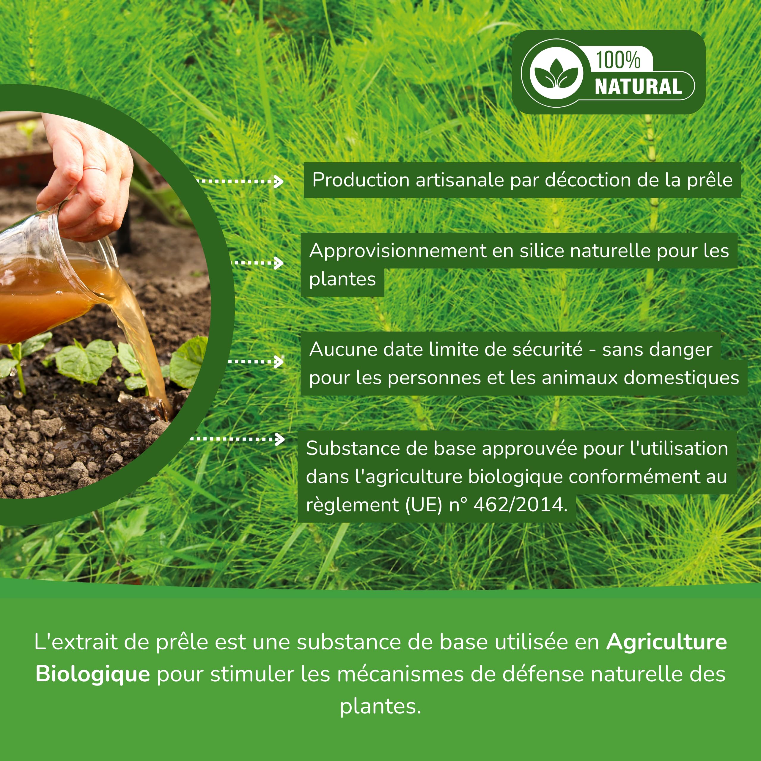 Decoction de Prêle Fongicide 5L – Préventif et curatif pour les plantes - Très concentré 30ml/L – Biostimulant pour plantes d'intérieur et potager urbain – Mildiou et Oïdium