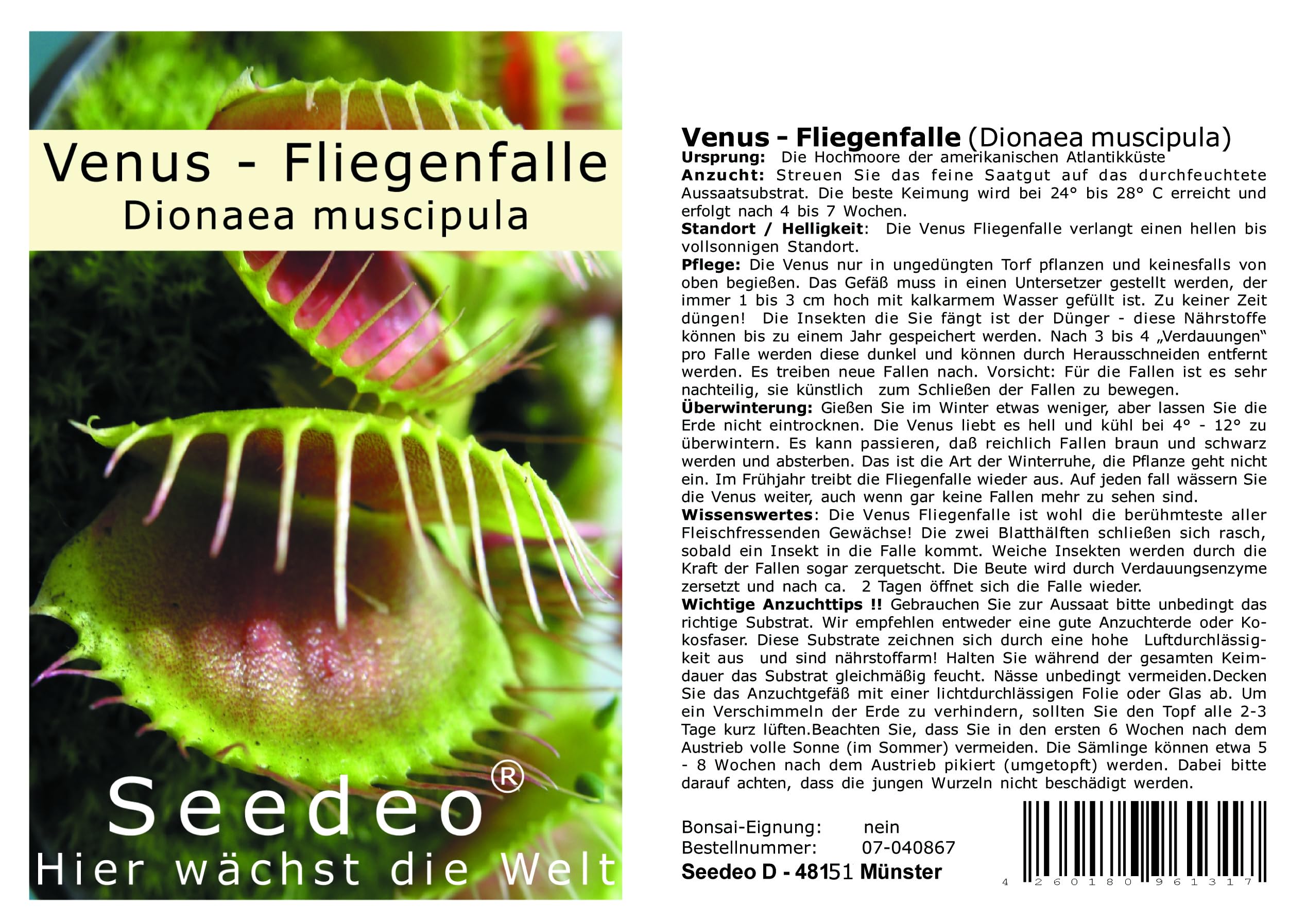 Botanische Juwelen Fleischfressende Pflanzen