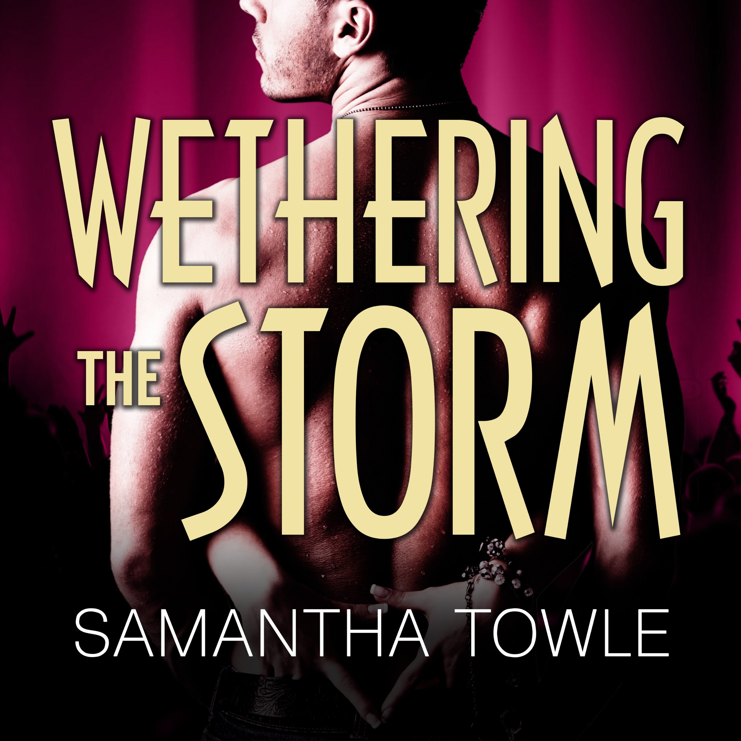 Cover art for Wethering the Storm