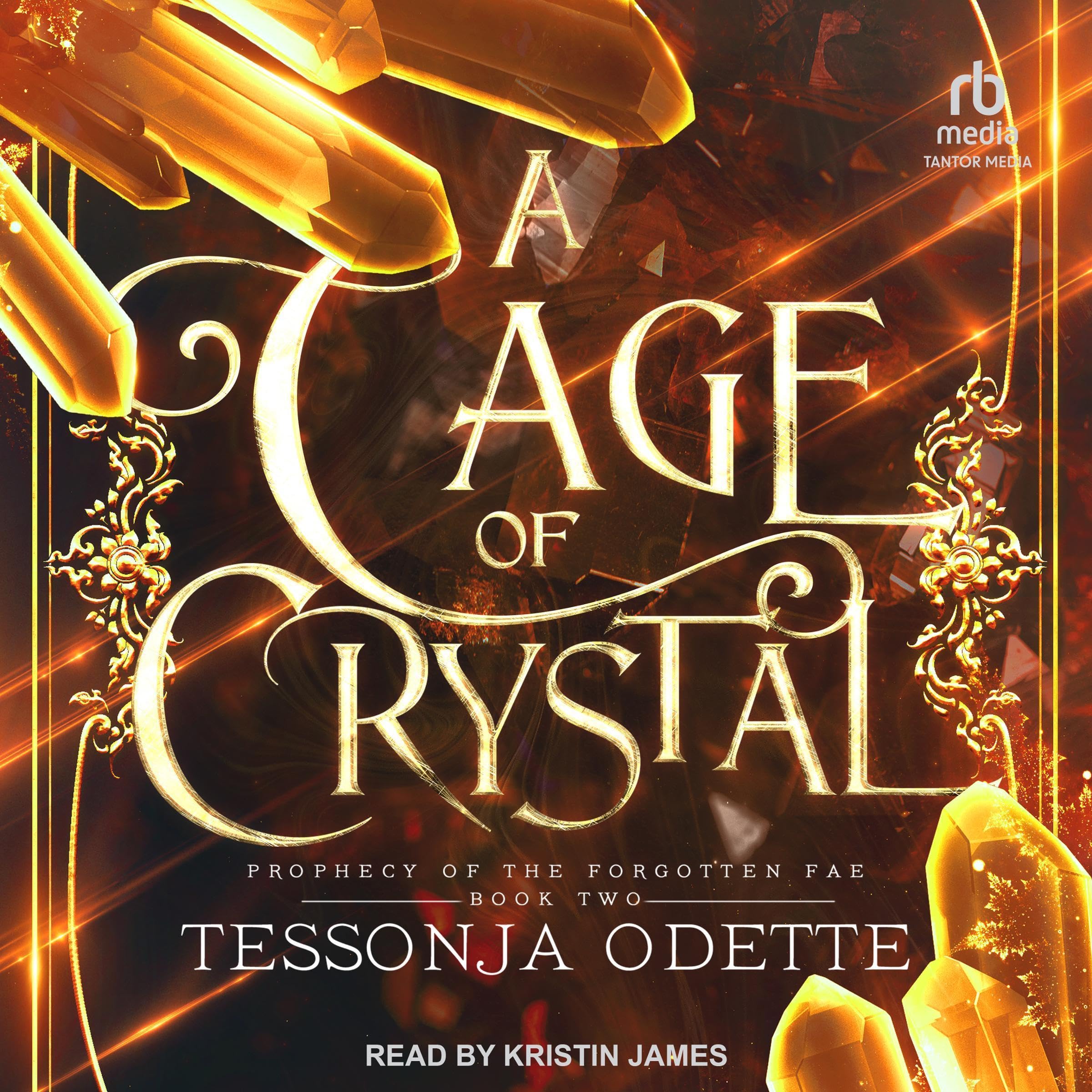 Cover art for A Cage of Crystal