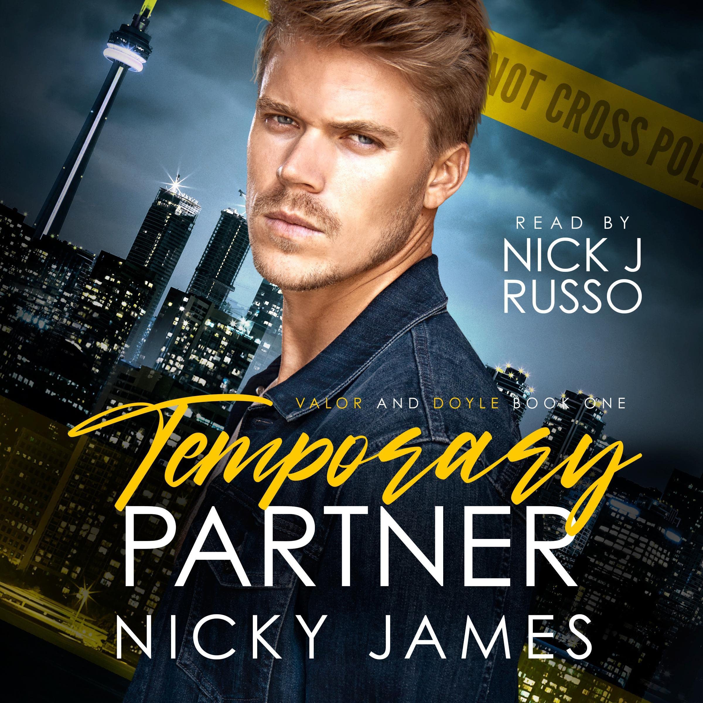 Cover art for Temporary Partner