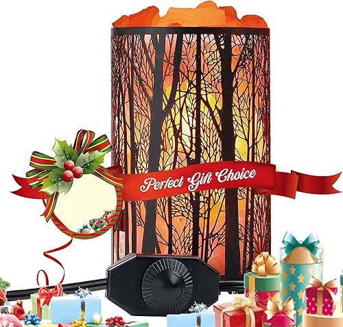 Miniatura 6 de Lámpara de sal del Himalaya, lámpara de roca de sal natural, luz nocturna en bosque, cesta de metal con interruptor de intensidad (4.1 x 6.5