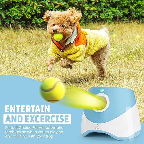 Miniatura 7 de 12 pelotas de tenis pequeñas para perros Juguetes de 2 pulgadas para tus cachorros más pequeños No abrasivos para bocas más pequeñas Juguetes