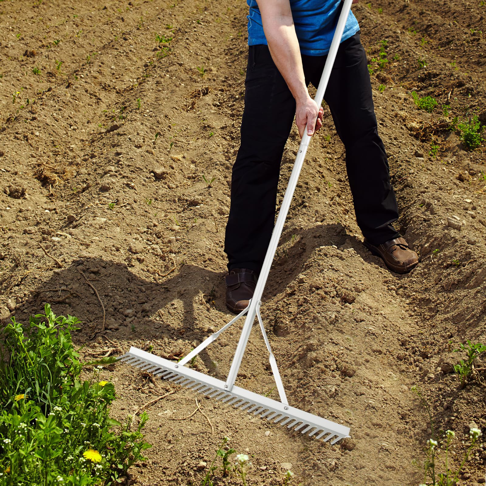 View 9