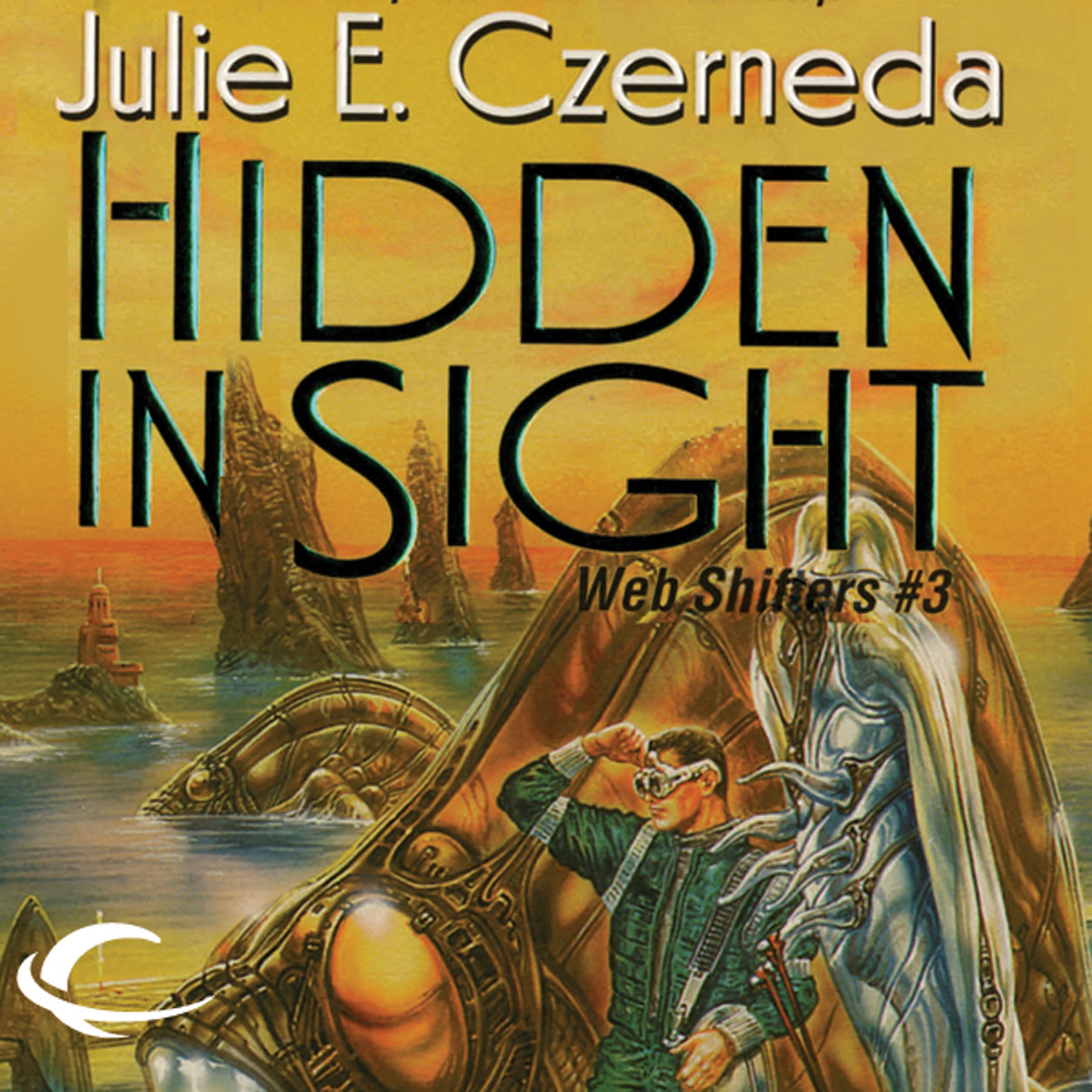 Cover art for Hidden in Sight