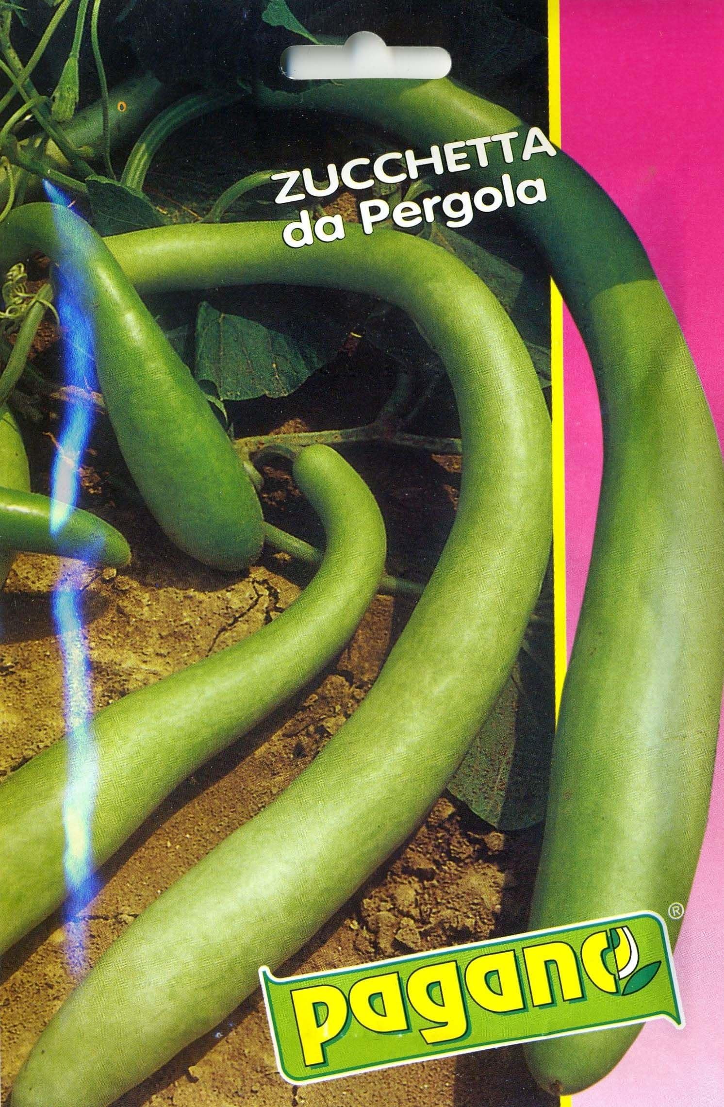 1427 Summer Cucuzzi Zucchetta Seed Packet