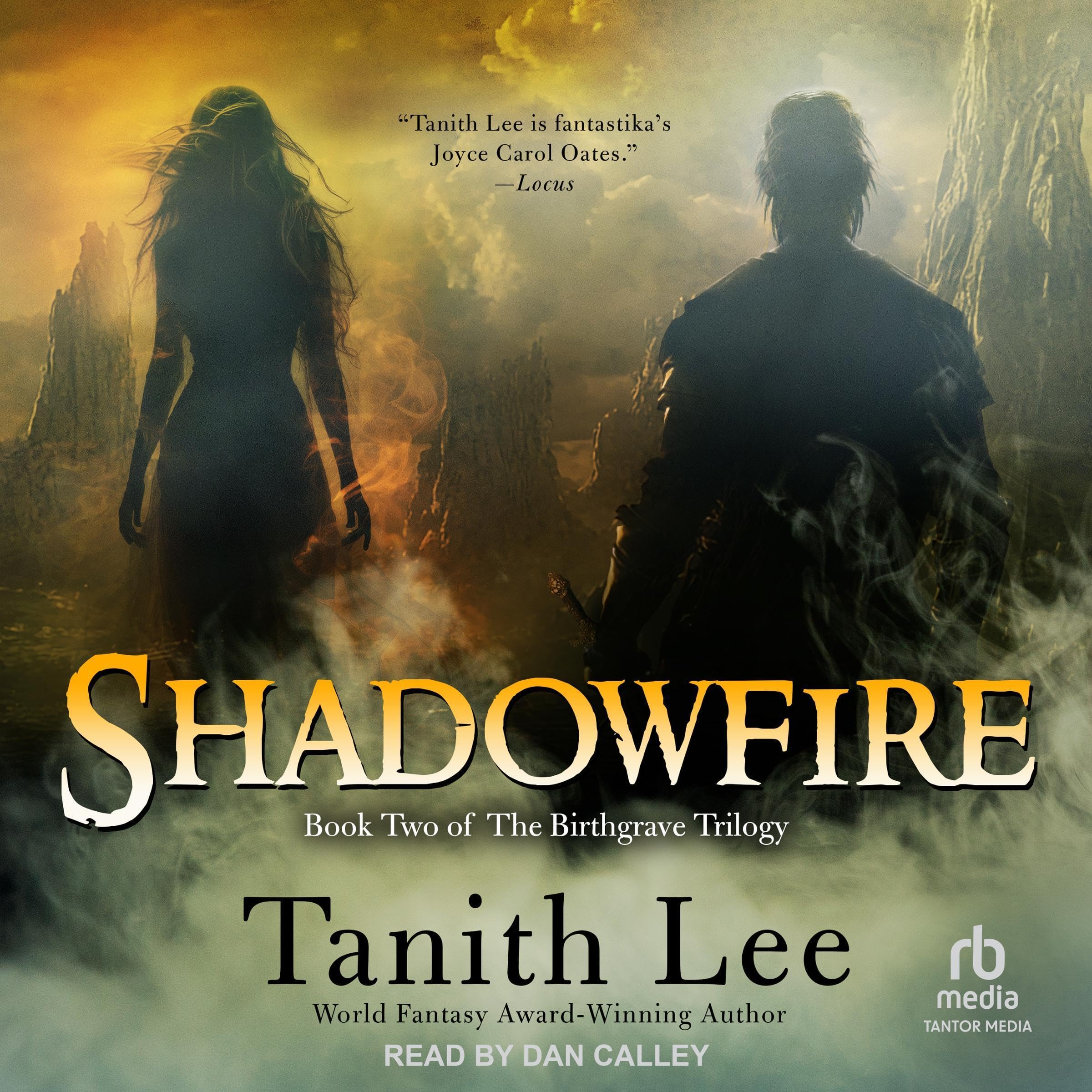 Cover art for Shadowfire