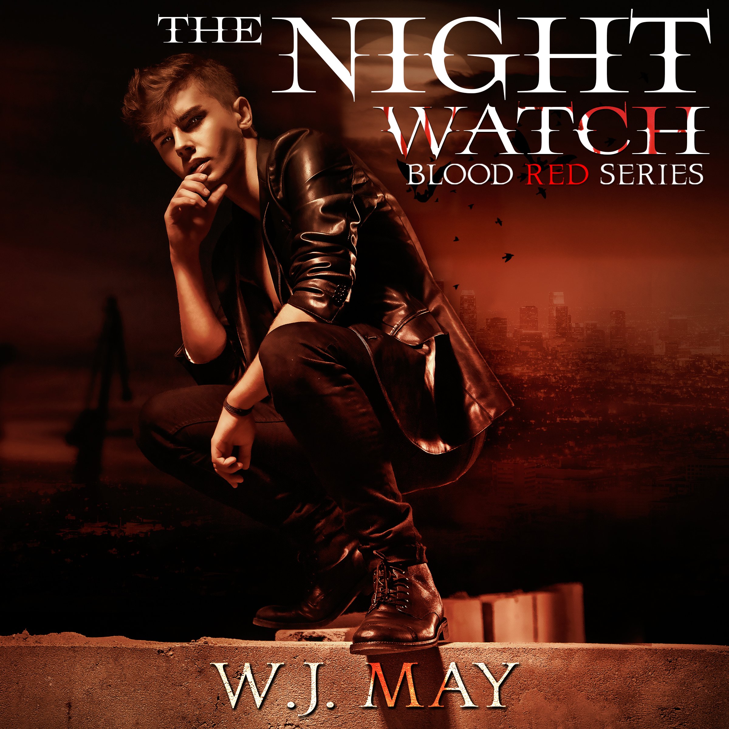 Cover art for The Night Watch