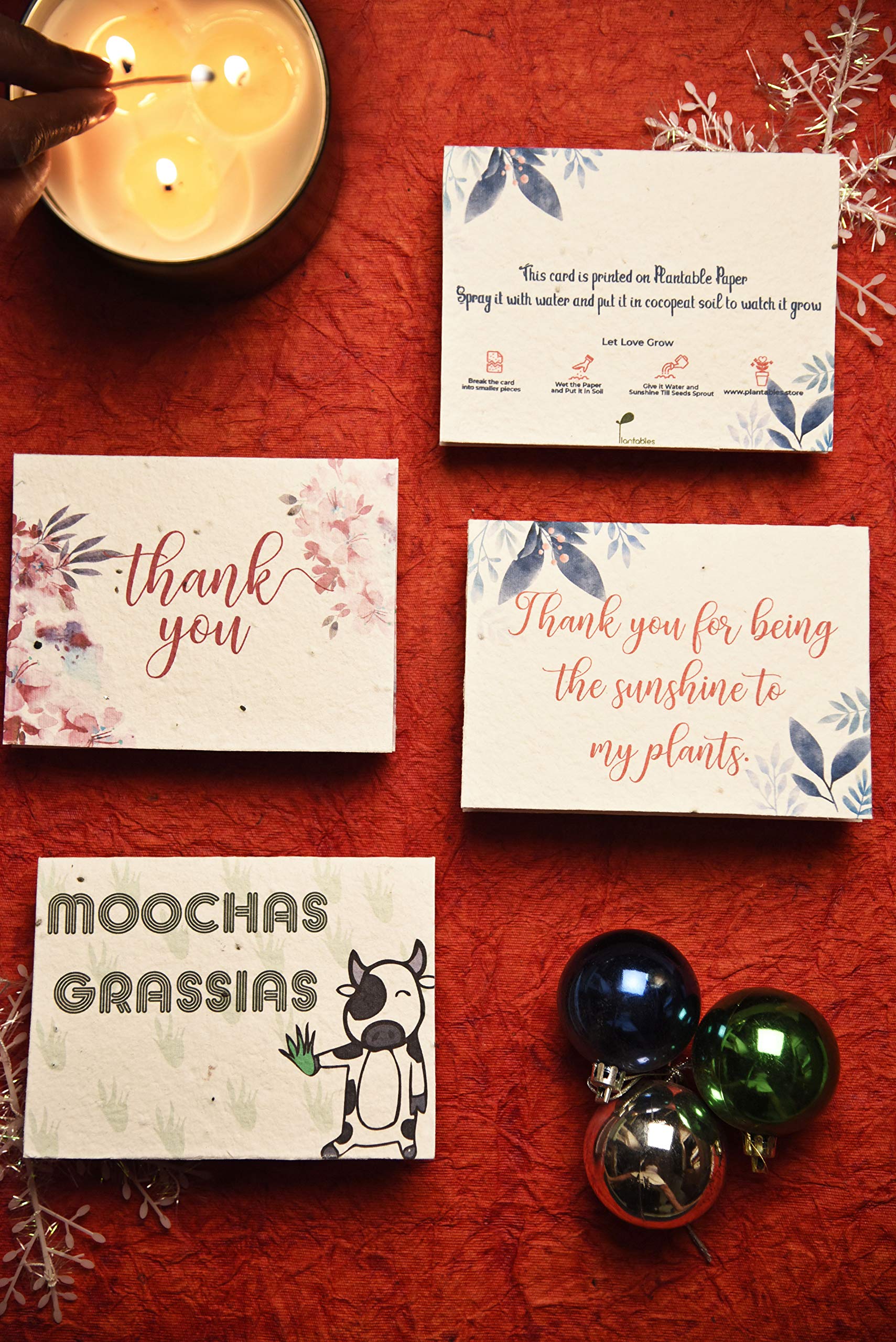 Plantables Seed Paper Thank You Message Cards, That Grows into Plants - Set of 4