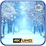 Winter Snowfall Bliss – Cozy Snowfall Ambience