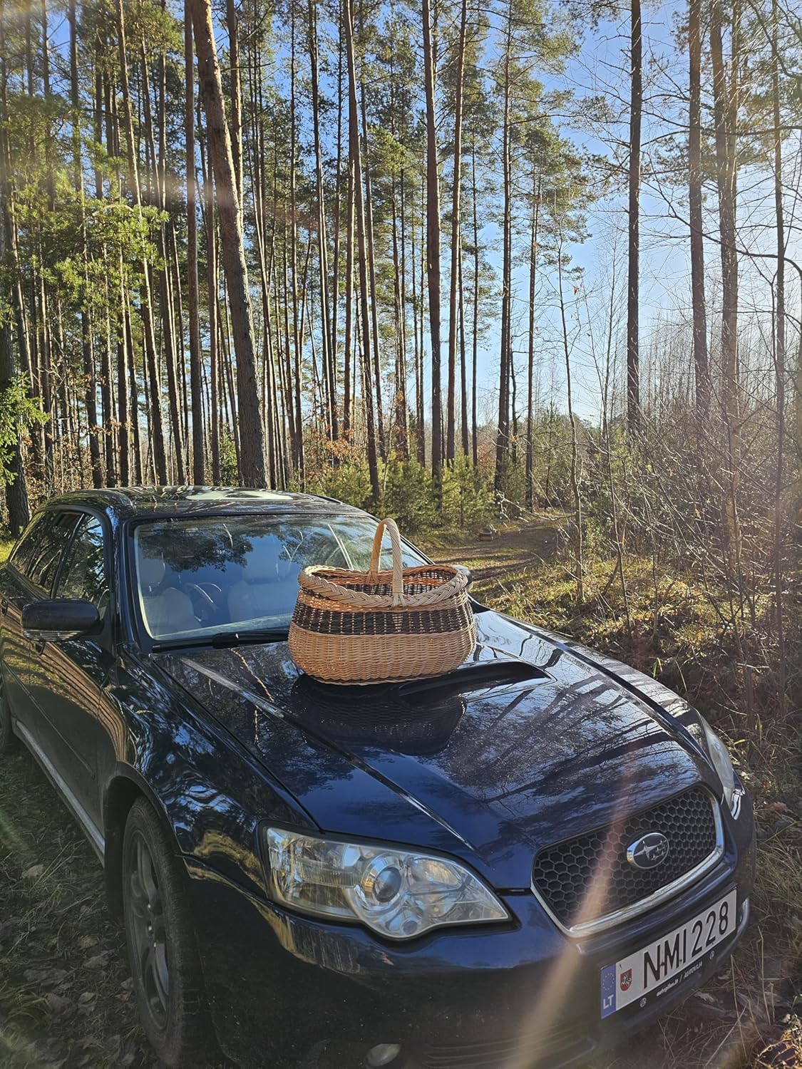 Handcrafted Braided Rim Large Wicker Basket, Handwoven Willow Storage and Market Basket, 17.3 x 11.4 x 14.6 in