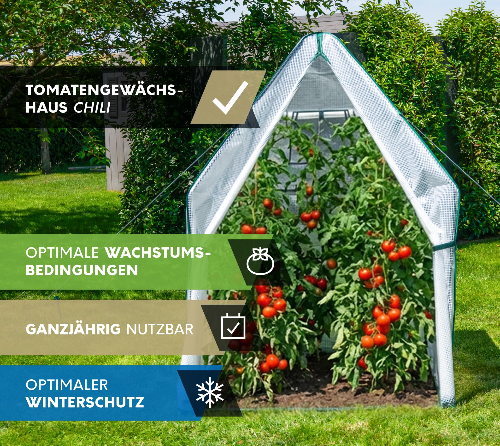 WESTMANN Piment Tente d'hivernage | 120 x 120 x 180 cm Blanc | Protection des plantes & serre en film pour l'hivernage des plantes