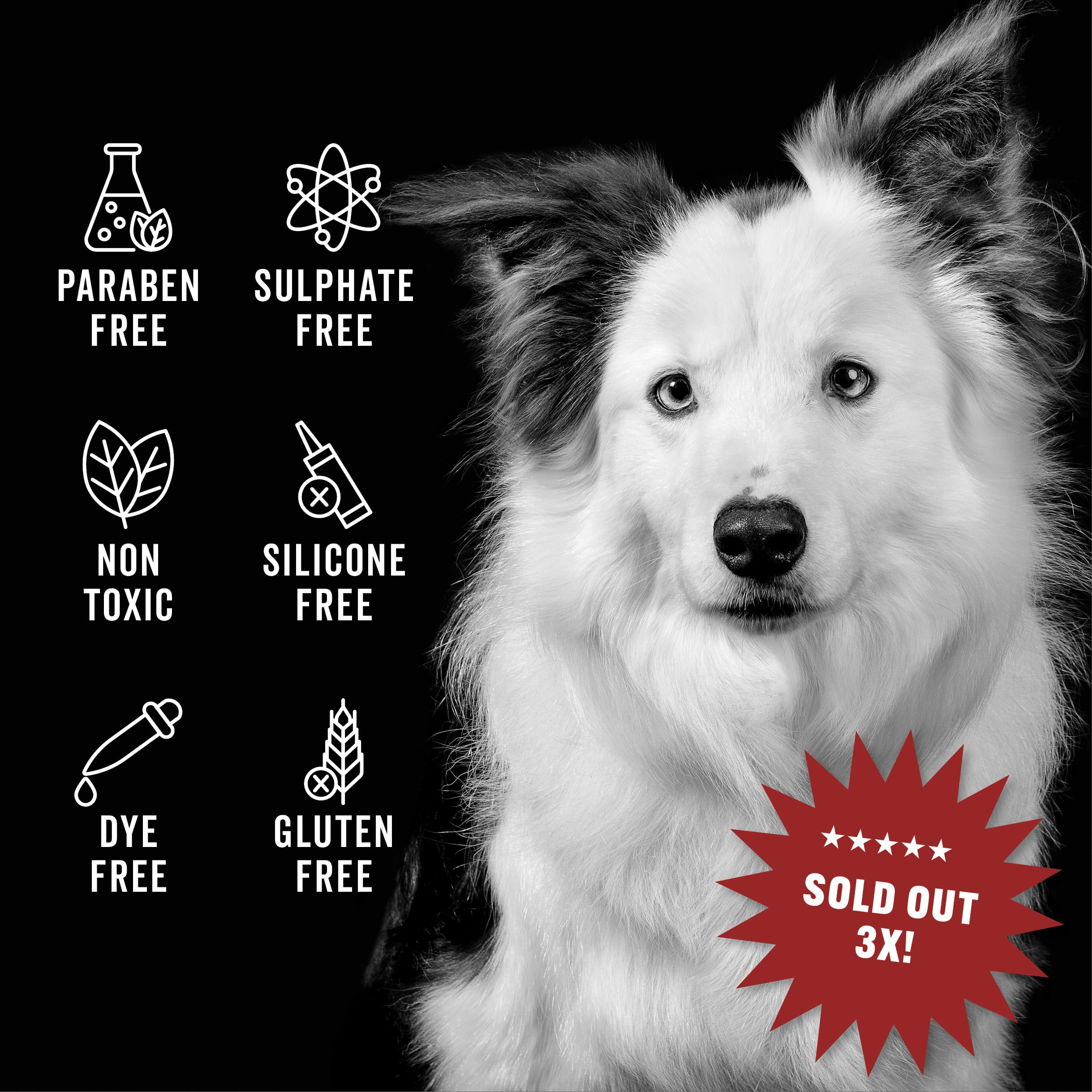 Pride and Groom The Leave in – Dog Conditioner and Detangler Spray Made in USA with Clean Ingredients & Signature Scent to Nourish, Moisturize, Repair, & Add Shine to All Pet Coat Types – 12 fl oz