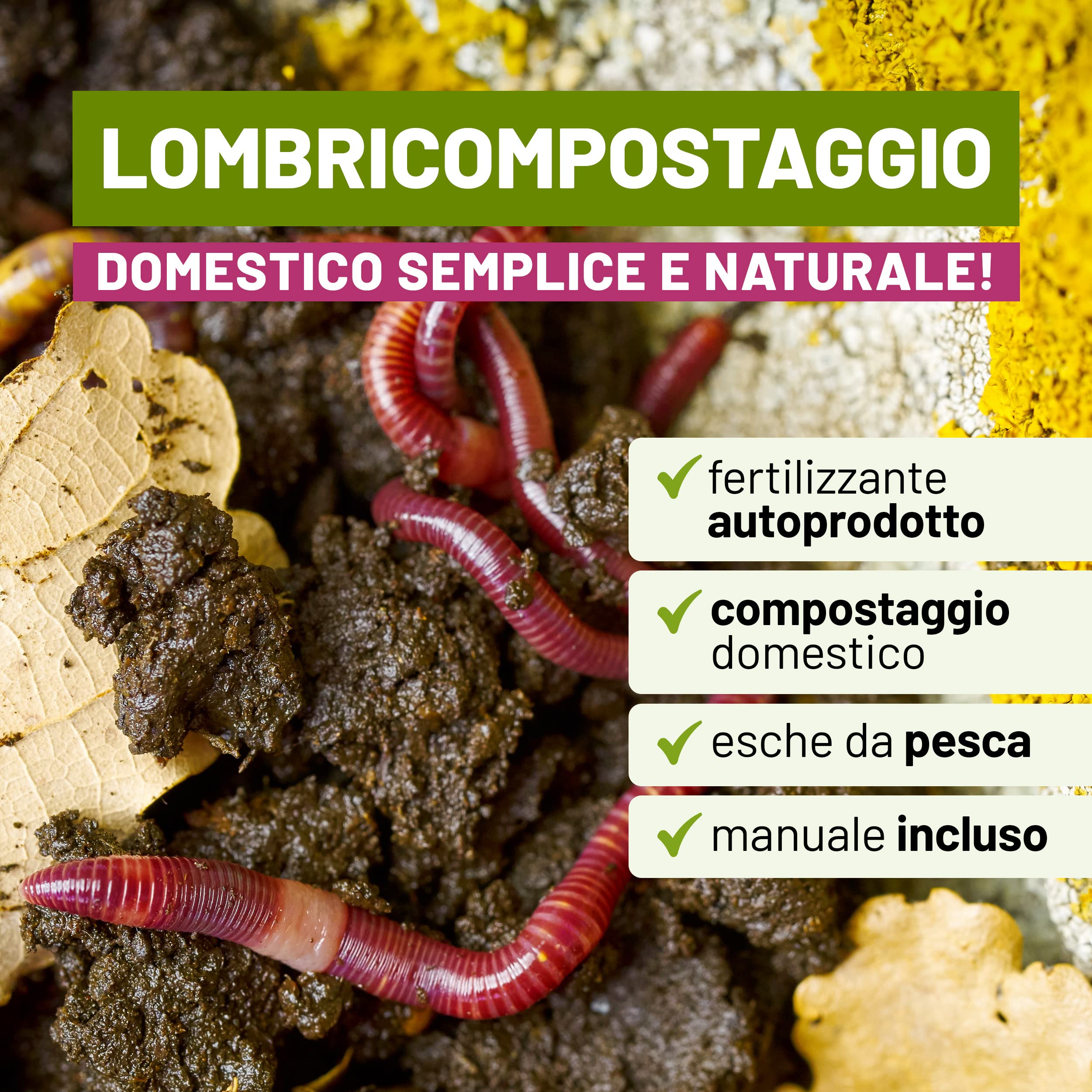 Lombrichi Rossi Californiani Vivi (Eisenia Fetida) 400g - Ideali per Vermicompost, Produzione di Humus e come Esca Viva per la Pesca