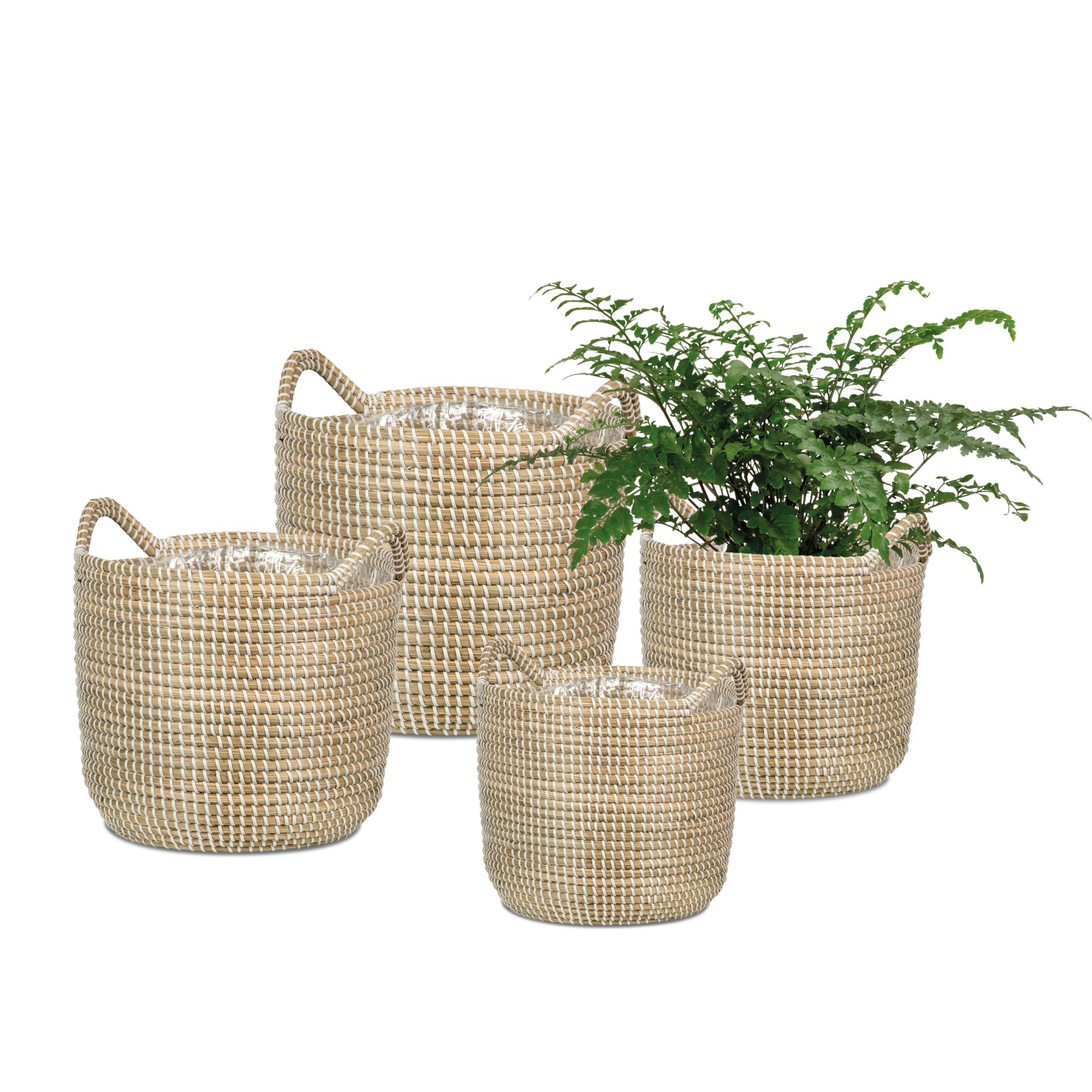 Scheurich Jonc de mer 32 - Panier à plantes avec poignées en jonc de mer - Couleur : blanc - Diamètre : 32 cm - Hauteur : 30,5 cm - Volume : 26,9 l