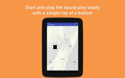 Bumble Bee Sound – vue 3