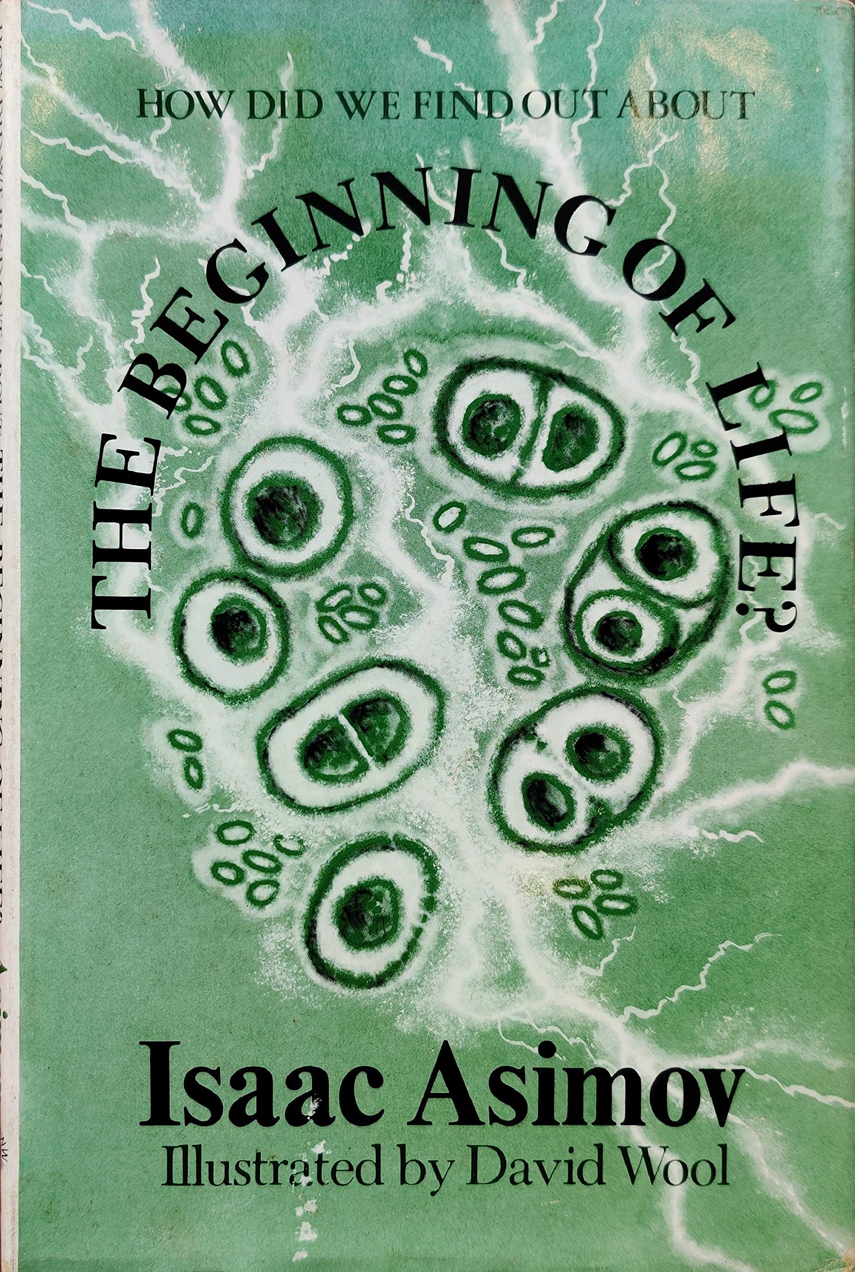 Buy How Did We Find Out About the Beginning of Life? — BookShops.in