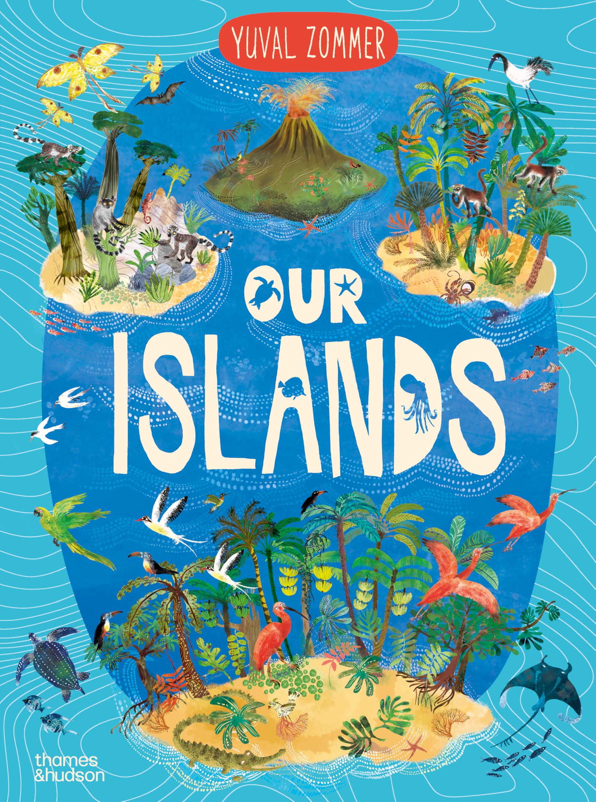 Our Islands: 1 (Our Wonders series)