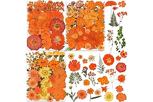 144PCS Dried Orange Pressed Flowers with Stickers - Youthbro Real Nature Flowers Set