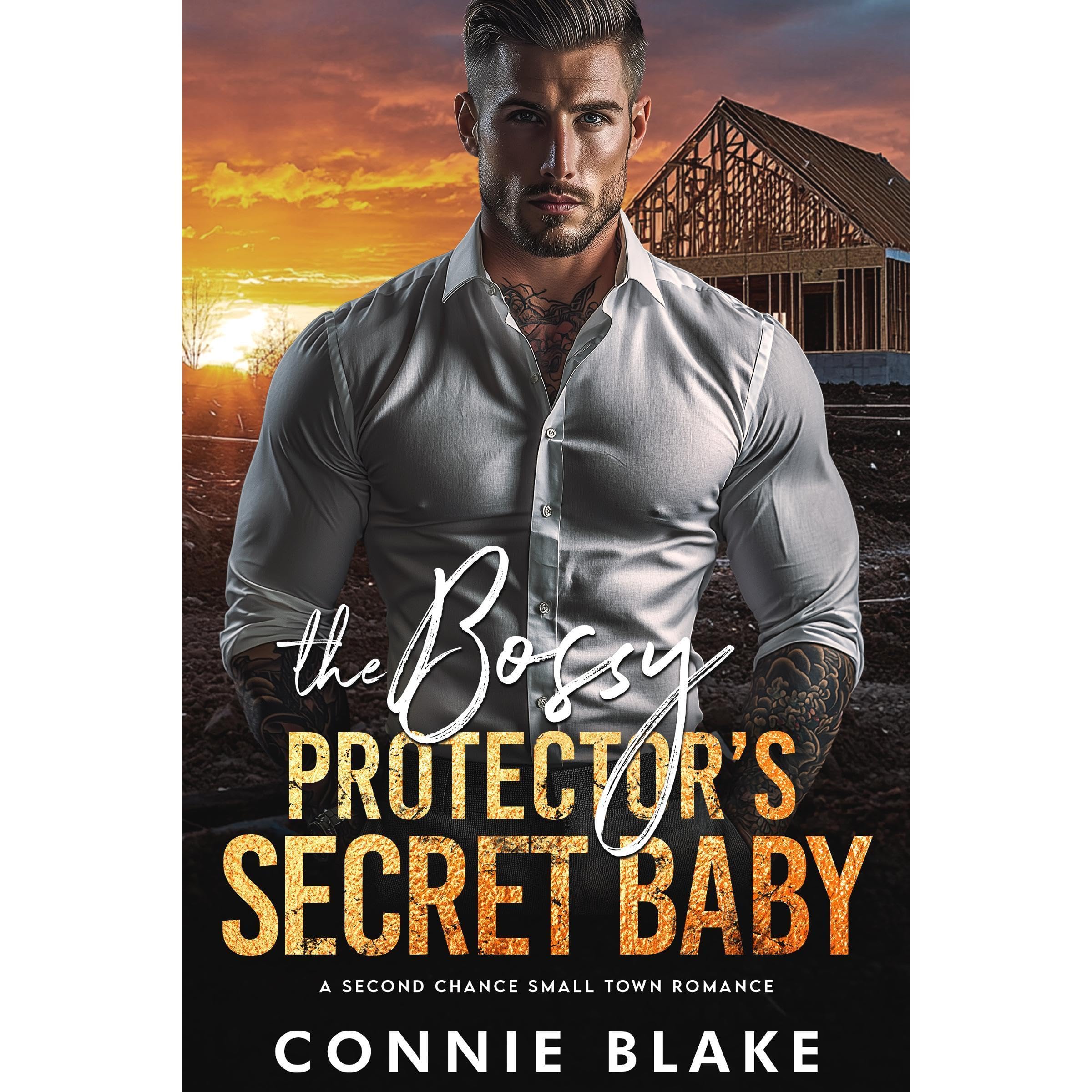 The Bossy Protector’s Secret Baby