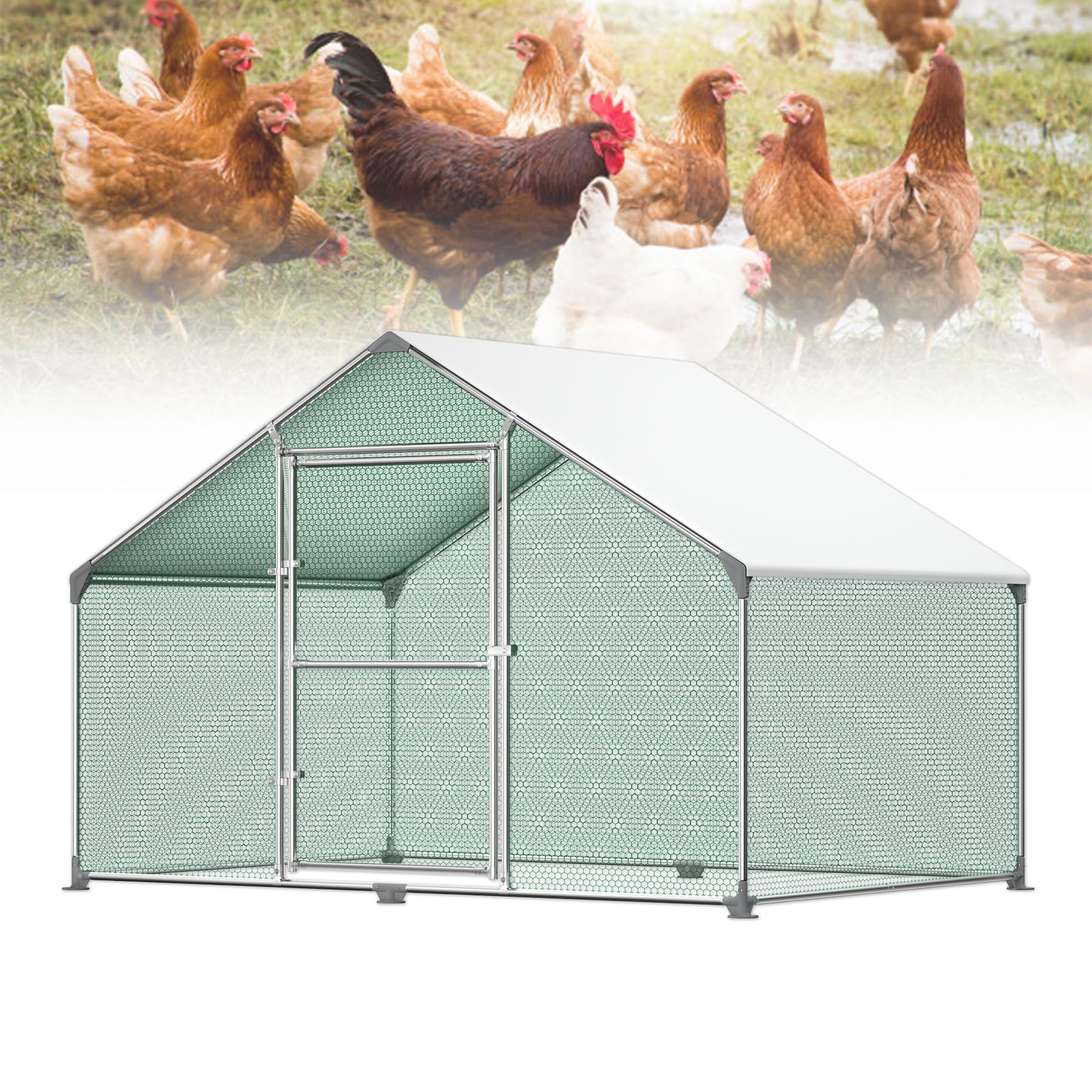 Froadp Pollai e Gabbie in Acciaio Zincato per Galline Uccelli da Esterno Gabbia con PE Tetto Parasole e Lucchetto Grande Recinto di Pollo Voliera per Animali Conigli Polli Cucce (3x2x2m, 6㎡)