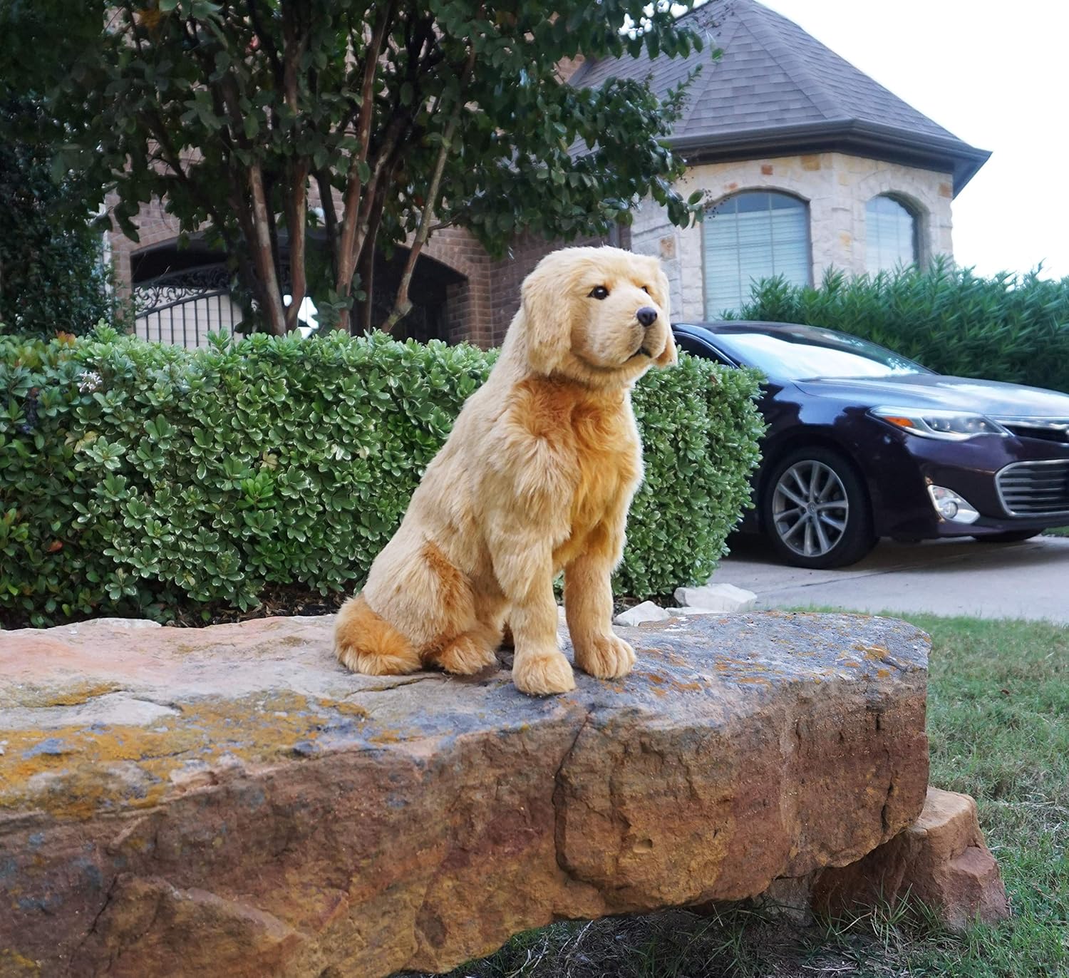 Golden Retriever 13.5" Height, Doorstop, Stuffed Plush Dog, Door Stopper (Golden)