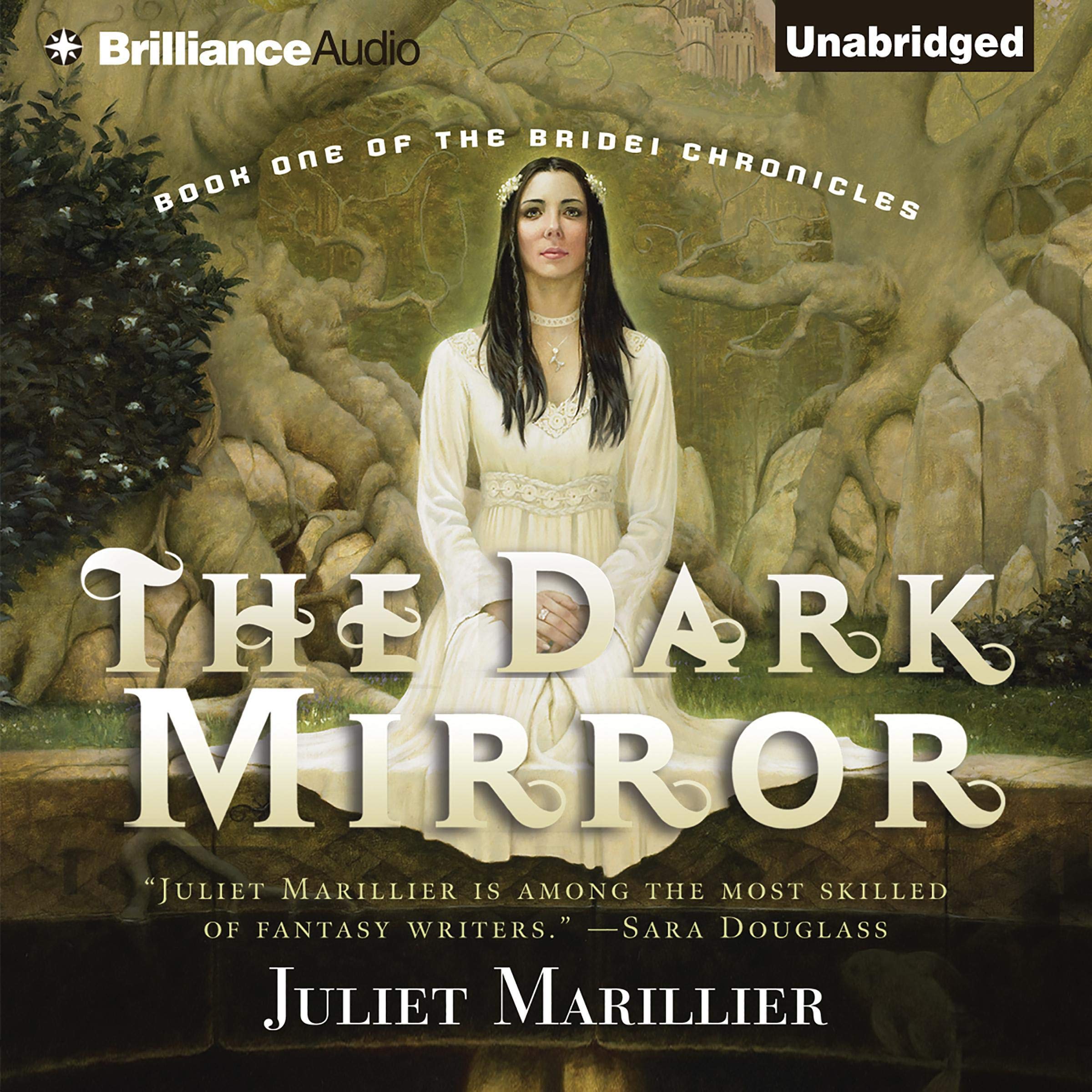 Cover art for The Dark Mirror: Bridei Trilogy #1