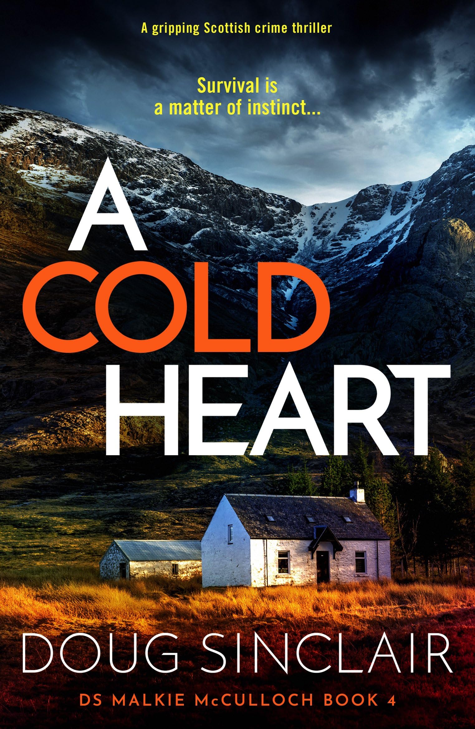A Cold Heart: A gripping Scottish crime thriller: 4 (DS Malkie McCulloch)