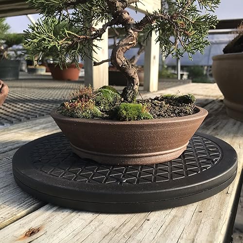 Miniatura 5 de Mighty Mini plato giratorio de árbol bonsái con base de 125 pulgadas rodamientos de bolas de acero inoxidable de bajo costo de 200 libras rotación