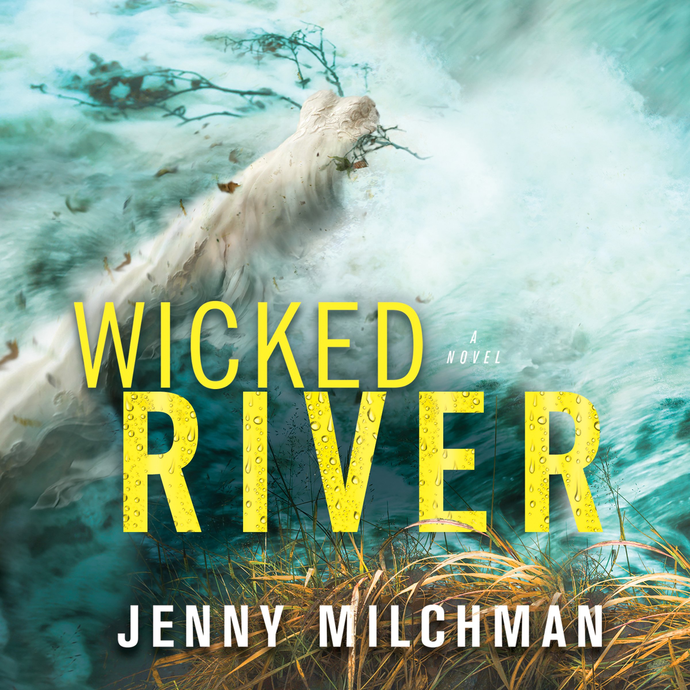 Cover art for Wicked River
