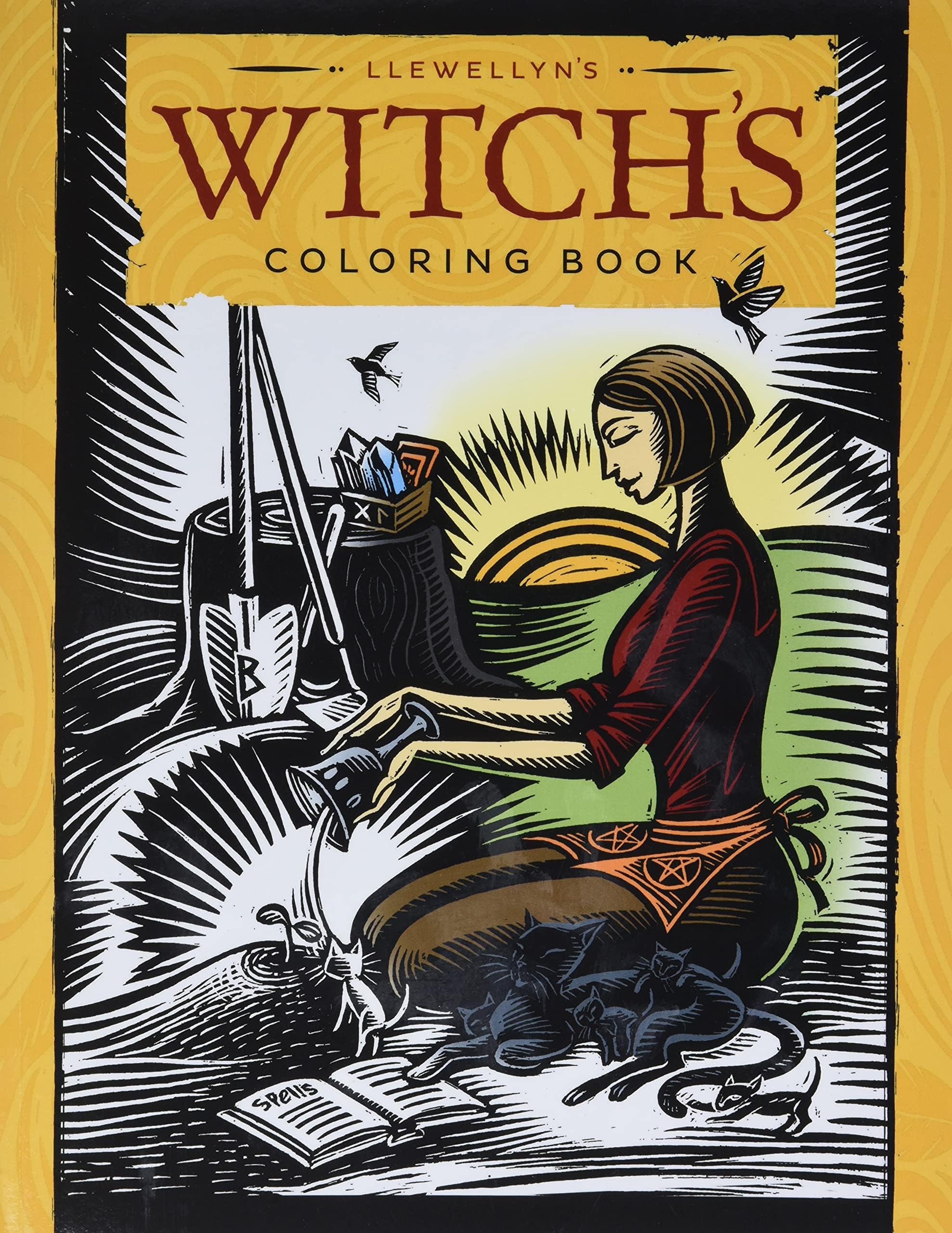 Llewellyn's Witch's Coloring Book