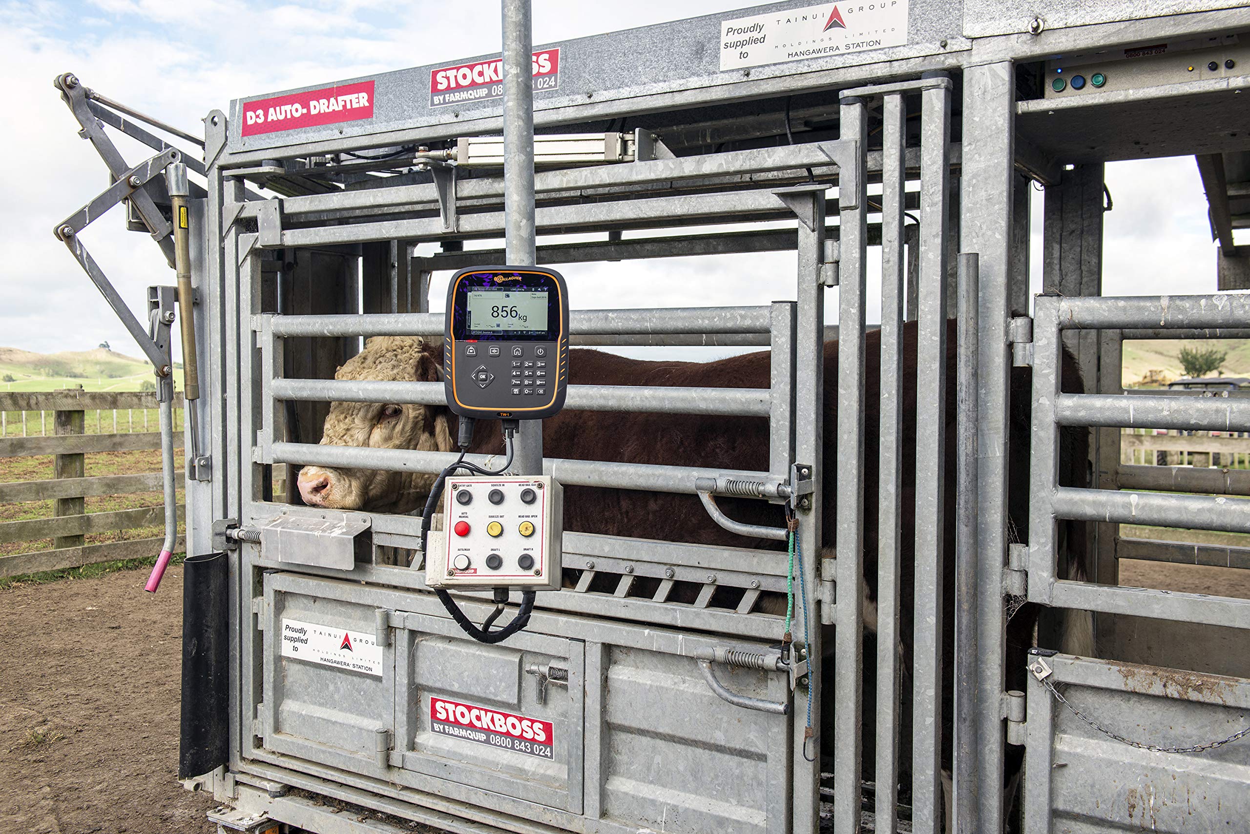 Wiegestangen Set 2000kg - 600mm