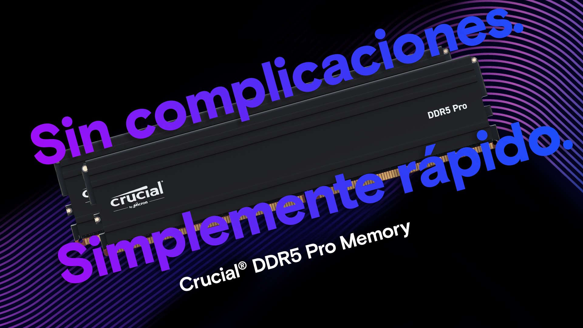 Crucial Pro RAM DDR5 96GB (2x48GB) 5600MHz, Intel XMP 3.0 / AMD