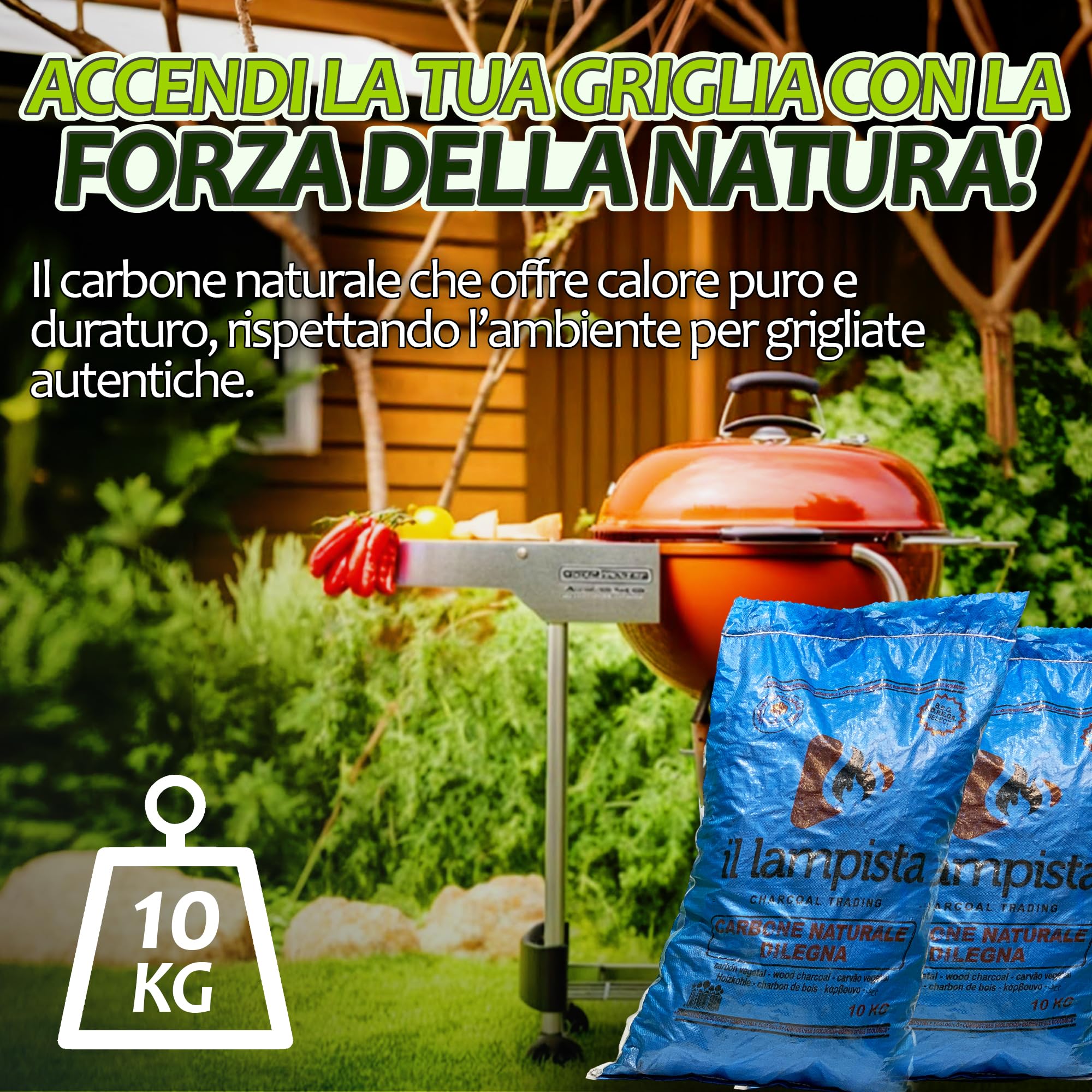 Sicignano Carbone di Legna Ecologico 10 kg ? Combustibile Naturale al 100% a Lunga Durata per Barbecue, Alta Efficienza e Basso Impatto Ambientale