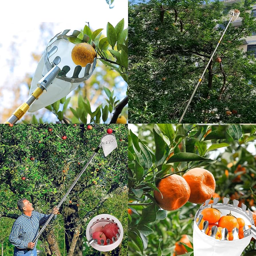 Fruit Picker Garden Blueberry Picking Tool Handheld Basket Fruit Harvest Garden