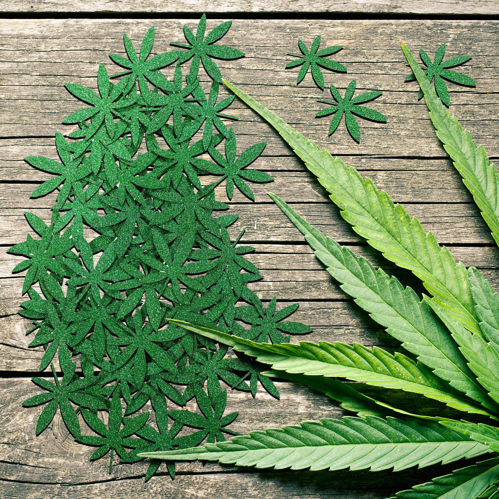 8-Quart Digital Air Fryer