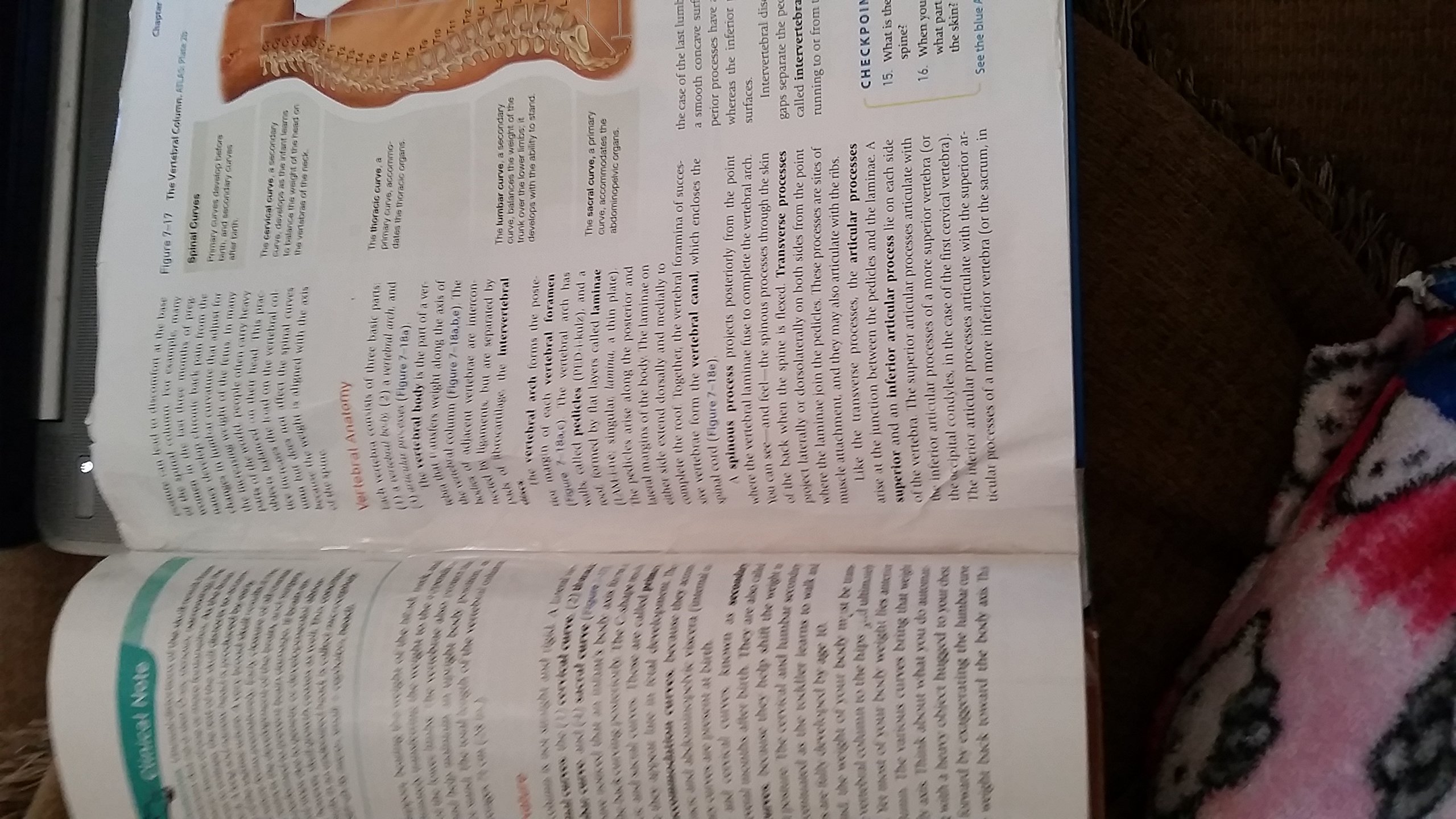 Fundamentals of Anatomy & Physiology (10th Edition) - Image 4