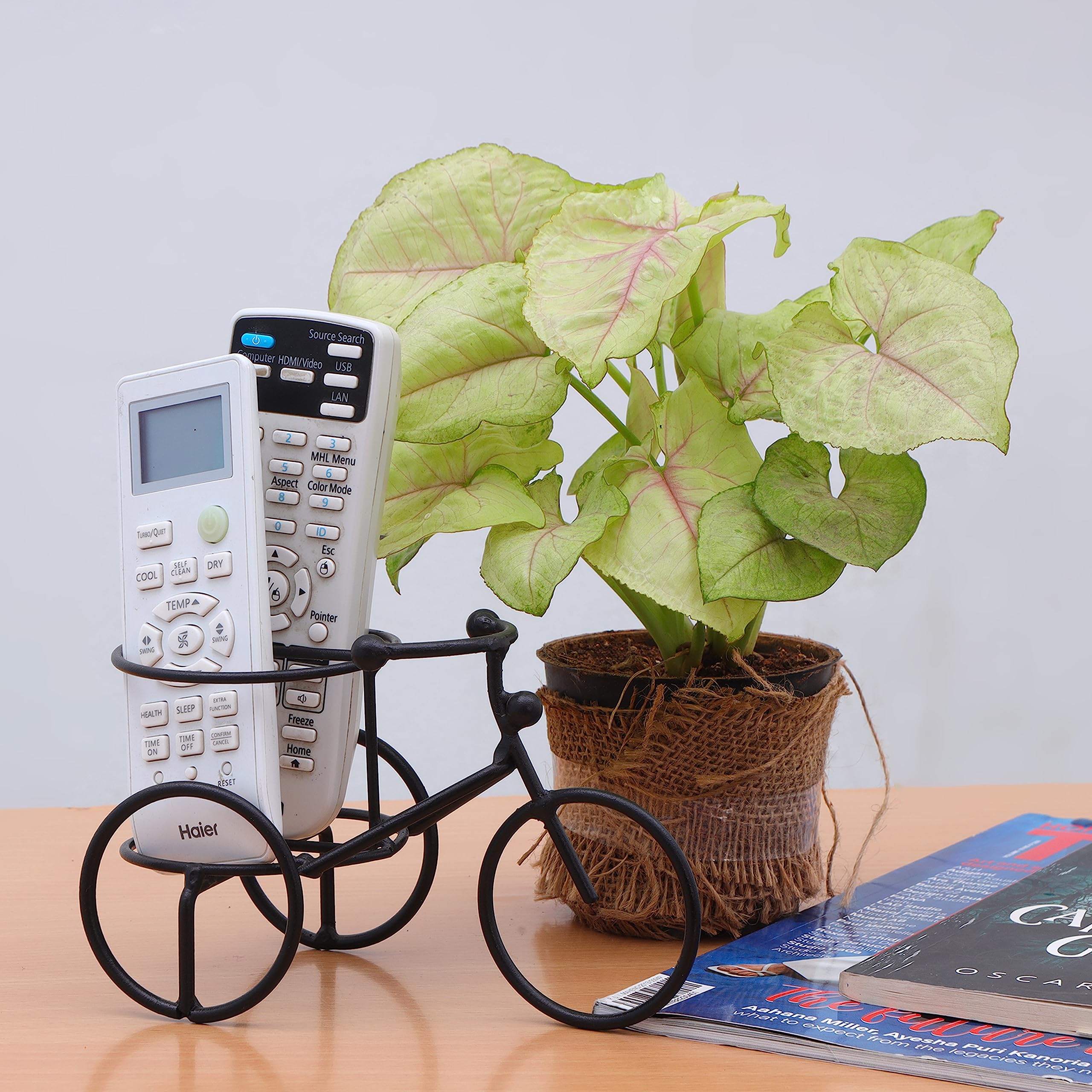 Brindavana engineers "creates admiring products" an ISO 9001-2015 Certified company Metal Remote Pencil Holders/Stand/Remote Organizer Showpiece For Tv Ac Dvd Dth Remotes (Deer) Tabletop, Gold (B09QH4FJMW) Amazon Price History, Amazon Price Tracker