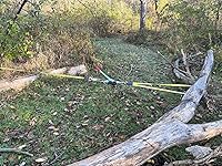 Review Image by Matt B Matt B