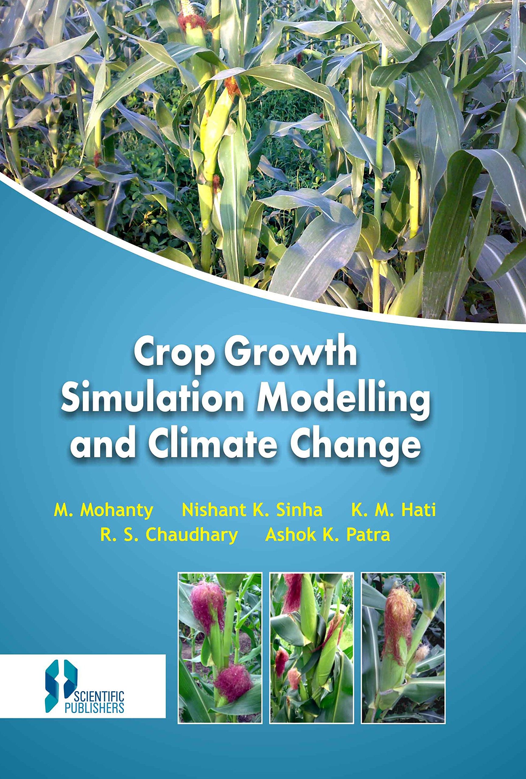 Buy Crop Growth Simulation Modelling and Climate Change [Hardcover] M. Mohanty — BookShops.in