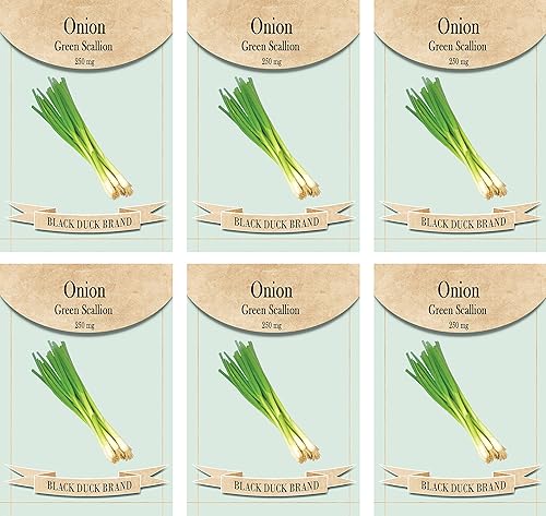 Juego de 6 paquetes de semillas de verduras, crea un jardín de lujo, todas las semillas son reliquias, 100% sin OMG (cebolleta verde ónión)