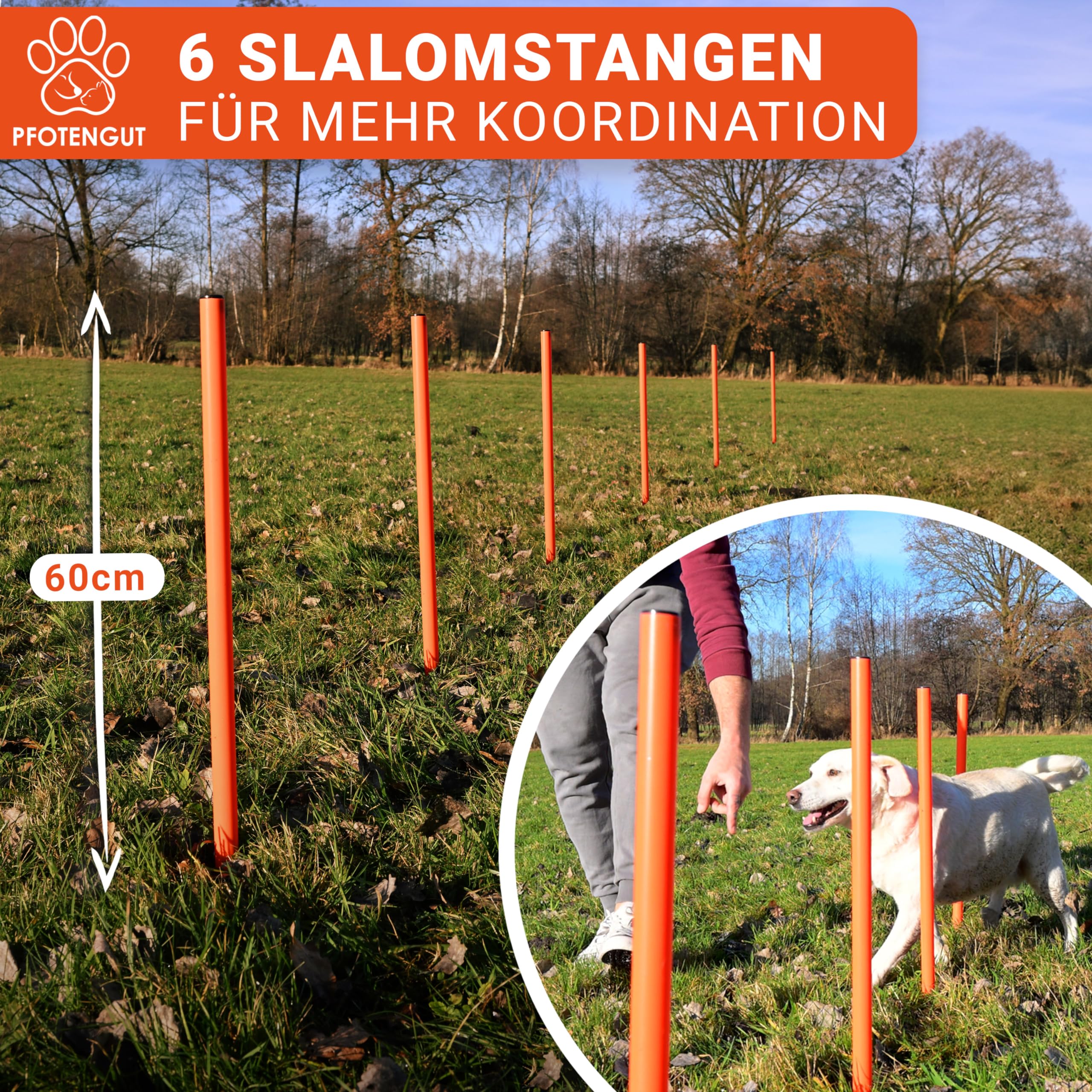Agility Kit pour chien [11 pièces] – Kit de haies polyvalentes avec tunnel pour chien, slalom, etc. Pour l'entraînement et le sport canin – Avec accessoires et sac de transport